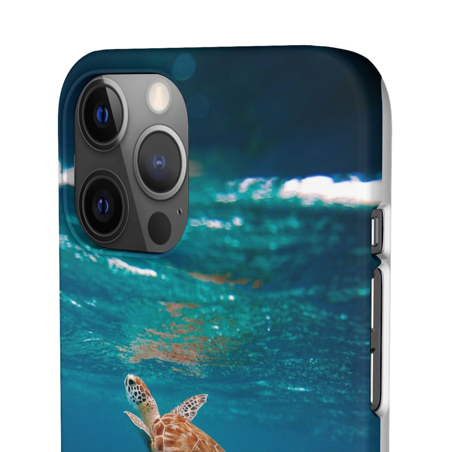 Sea Turtle Cajasol - Perfect for Beach Lovers