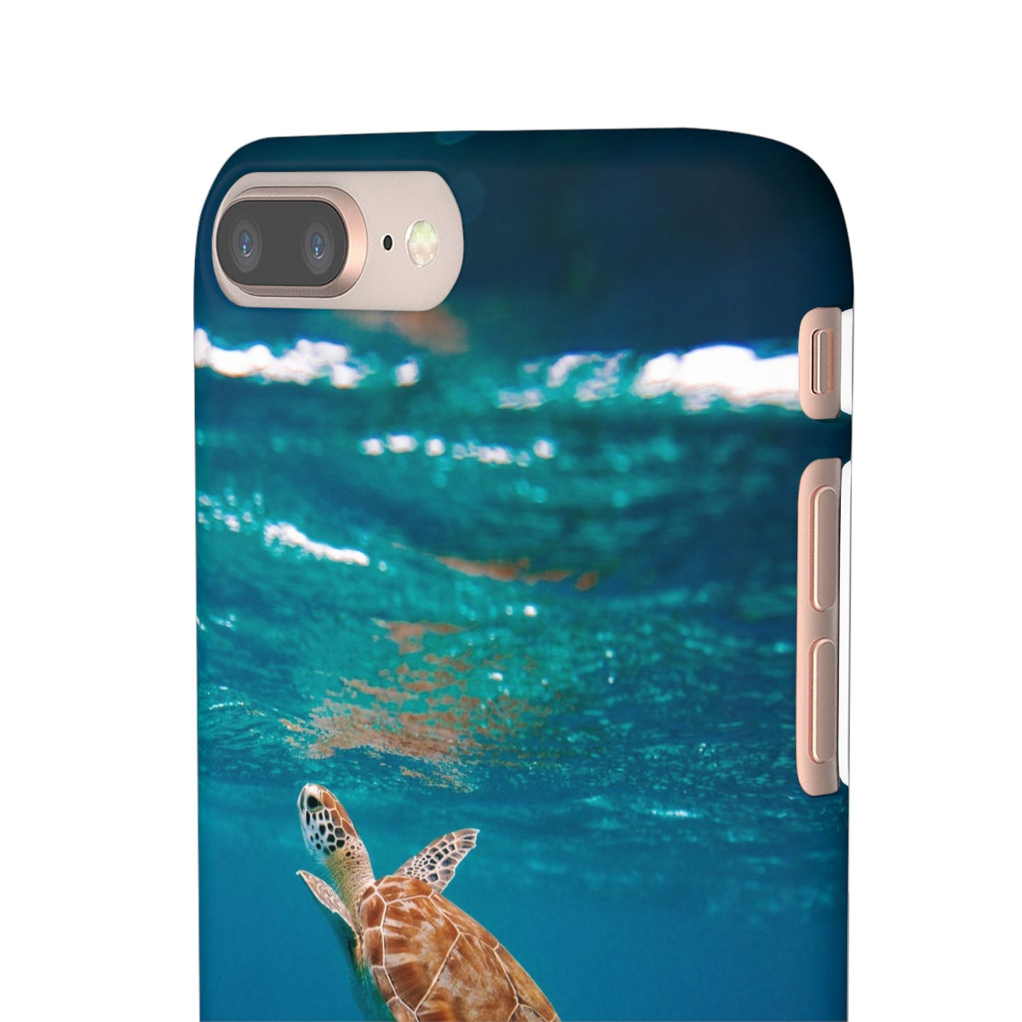 Sea Turtle Cajasol - Perfect for Beach Lovers