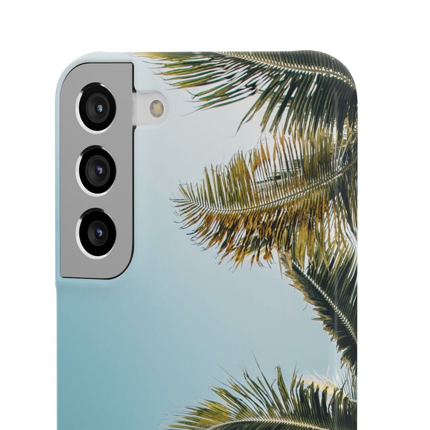 Tropical Palm Cajasol – Summer Vibes for Beach Lovers