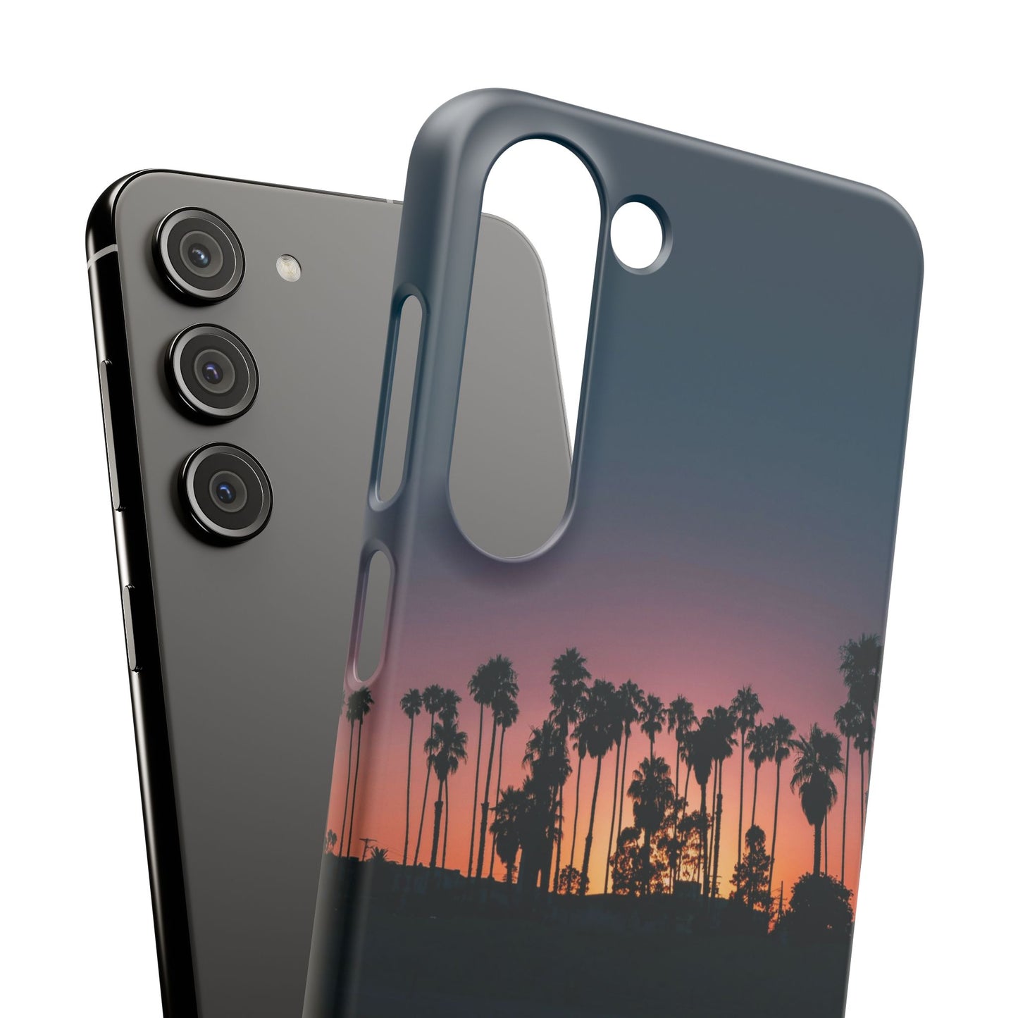 Tropical Sunset Cajasol - Vibrant Palm Tree