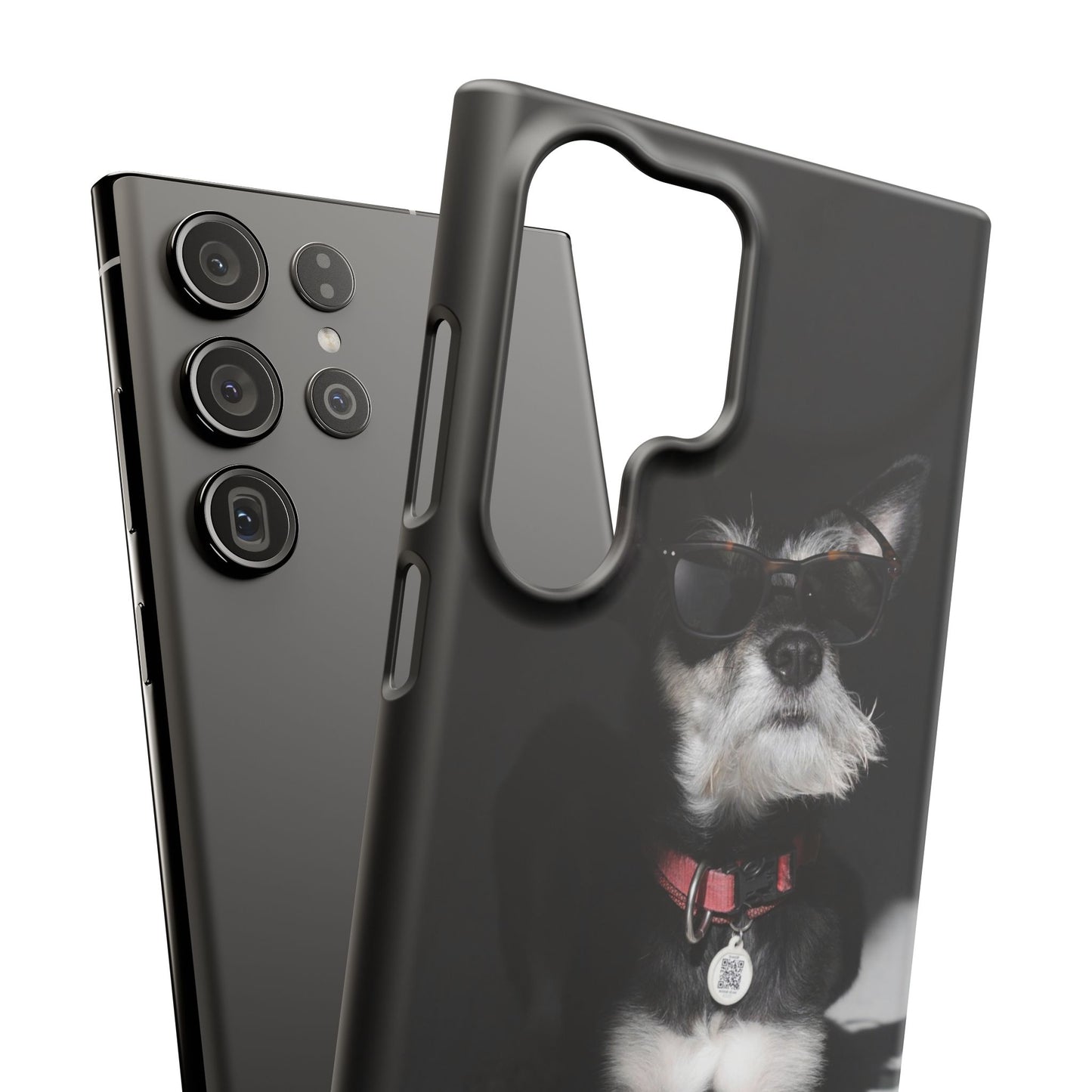 Cool Dog Cajasol - Stylish Pet