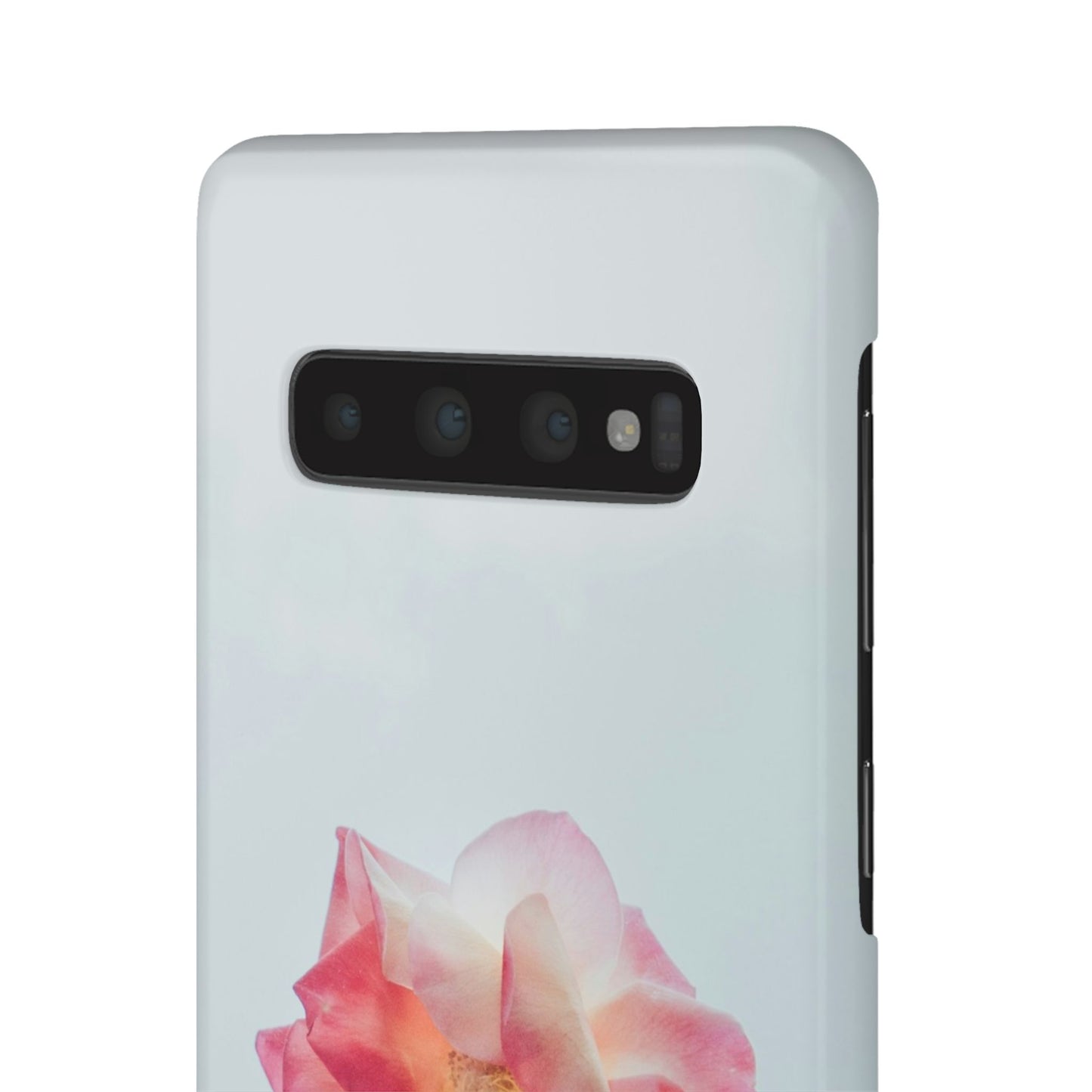 Floral Cajasol - Elegant Pink Flower