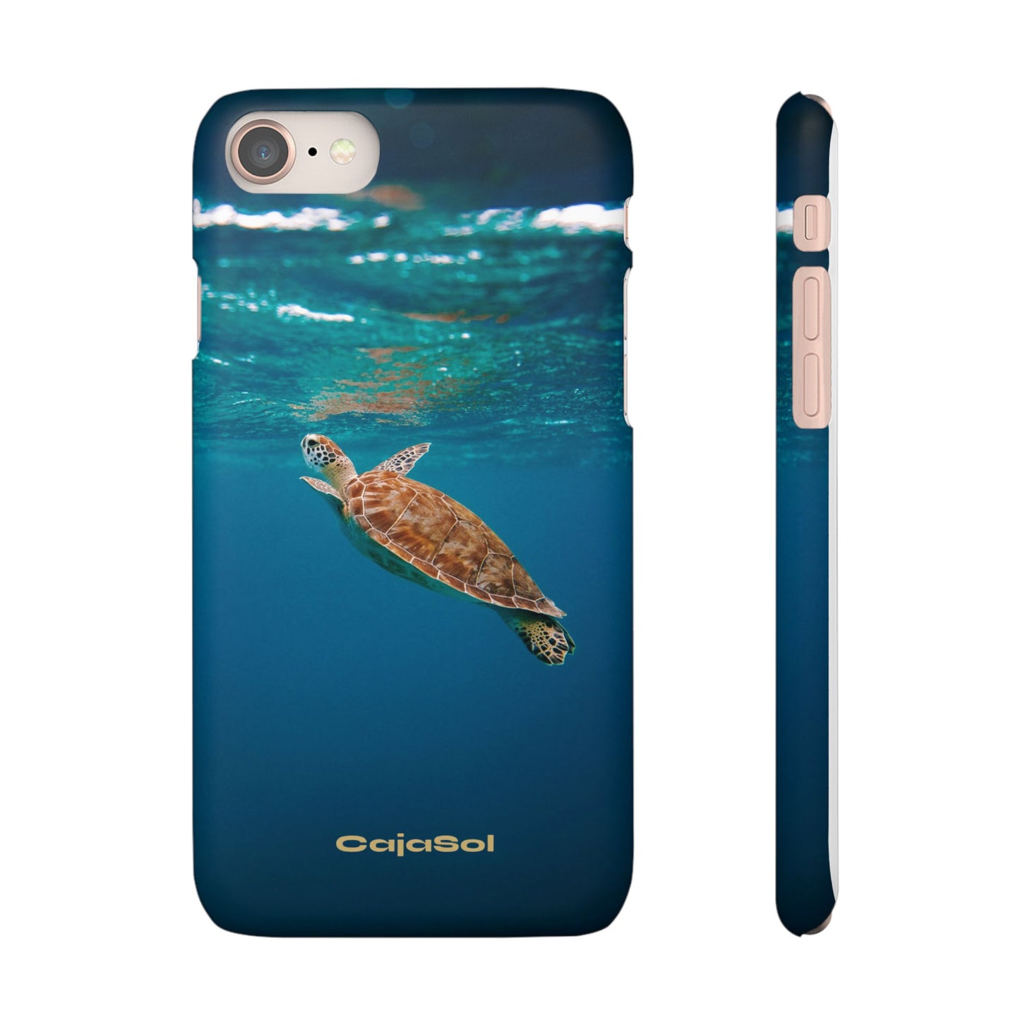 Sea Turtle Cajasol - Perfect for Beach Lovers