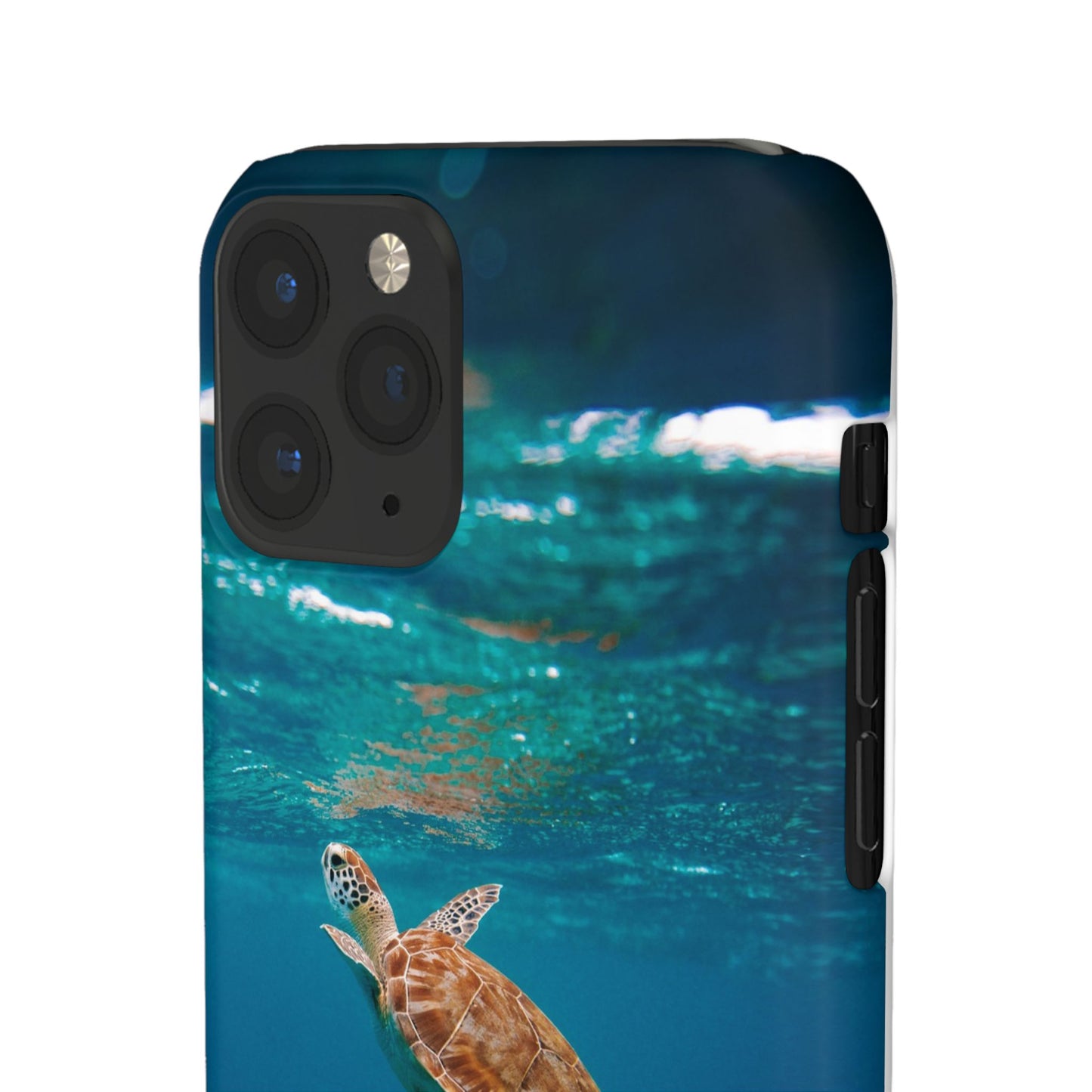 Sea Turtle Cajasol - Perfect for Beach Lovers