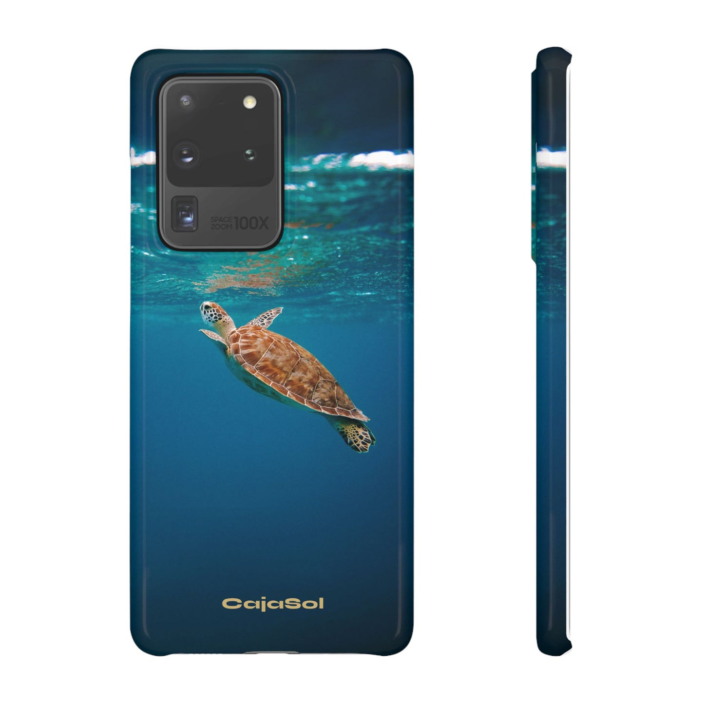 Sea Turtle Cajasol - Perfect for Beach Lovers