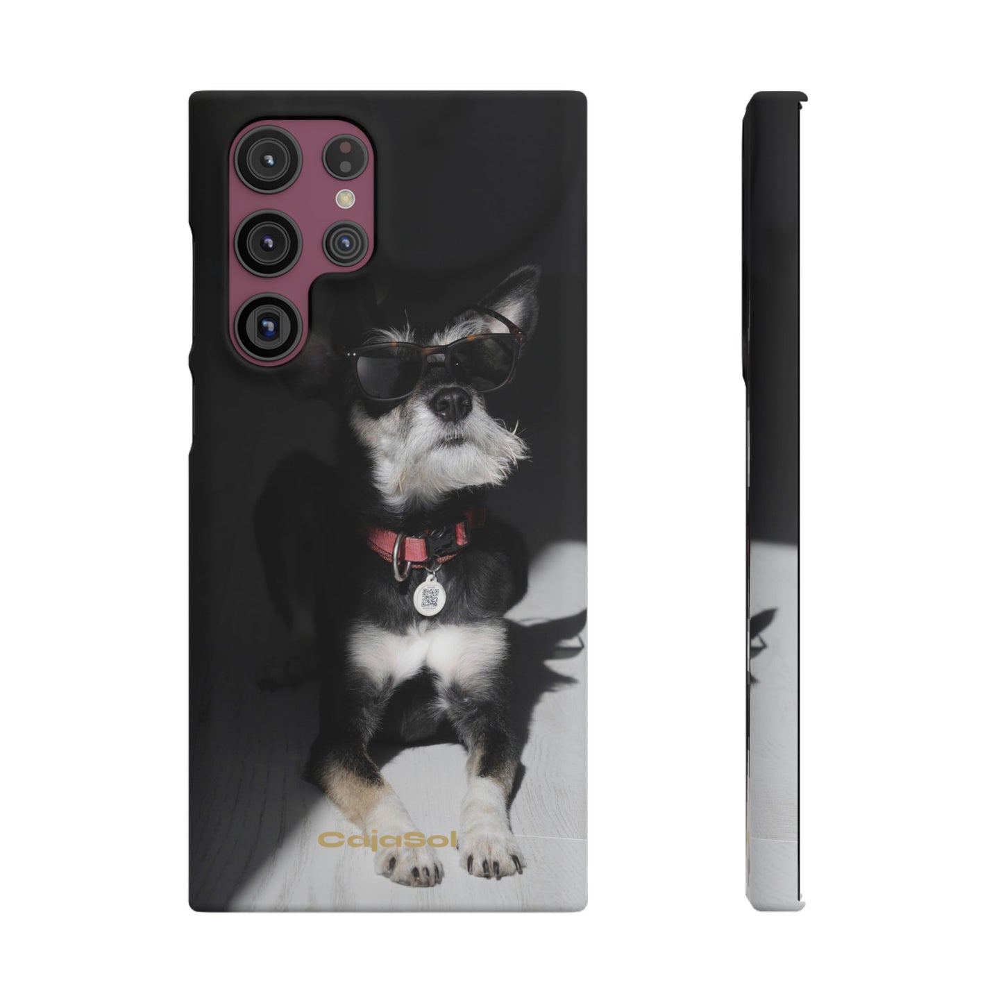 Cool Dog Cajasol - Stylish Pet