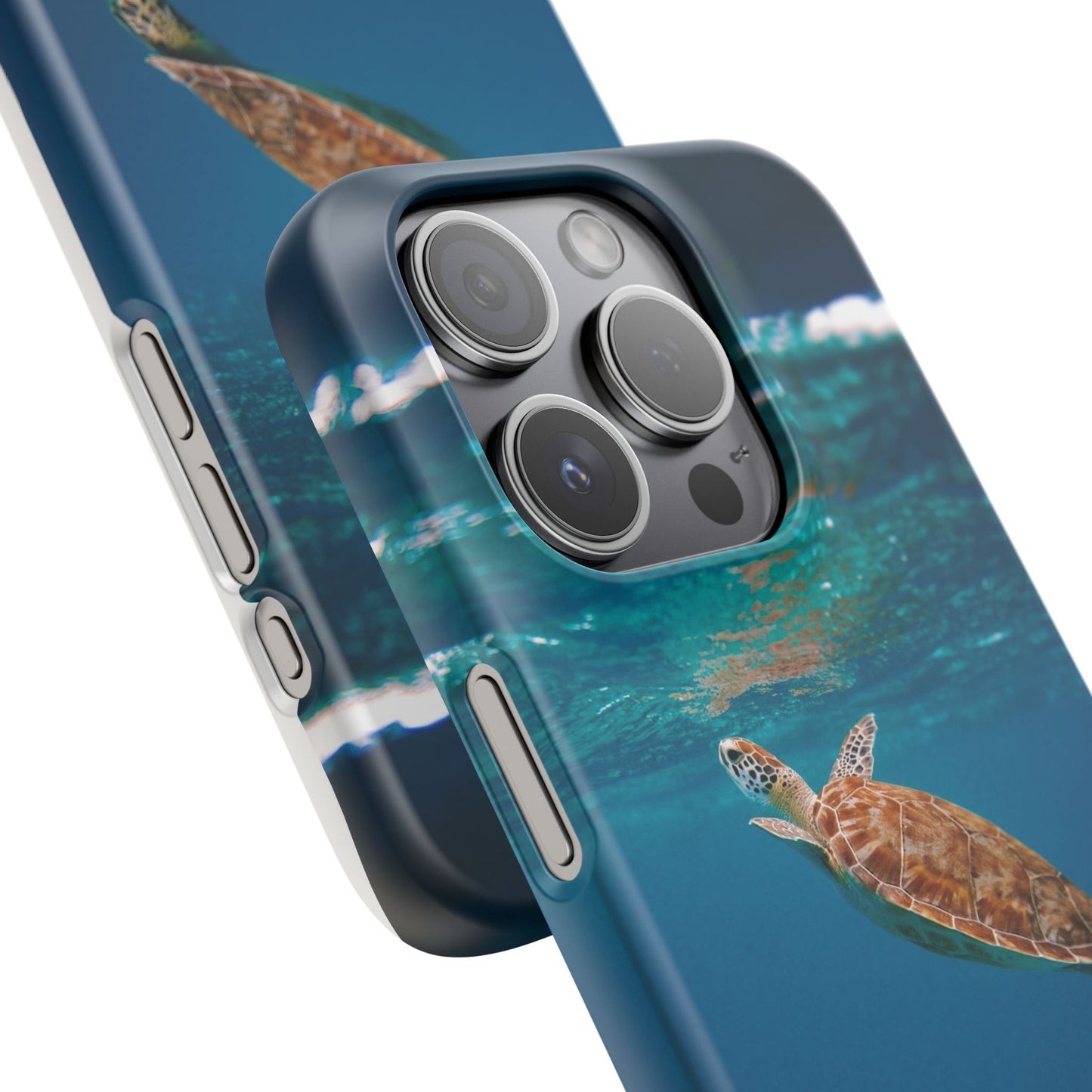 Sea Turtle Cajasol - Perfect for Beach Lovers