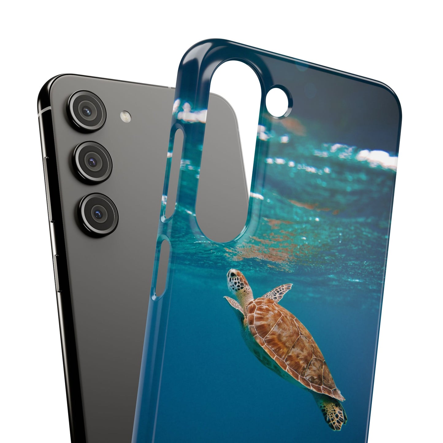 Sea Turtle Cajasol - Perfect for Beach Lovers