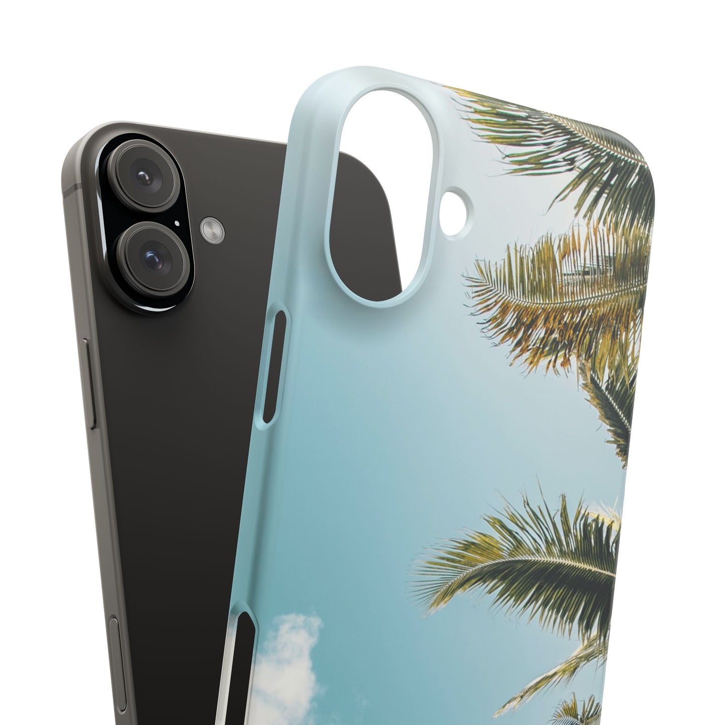 Tropical Palm Cajasol – Summer Vibes for Beach Lovers