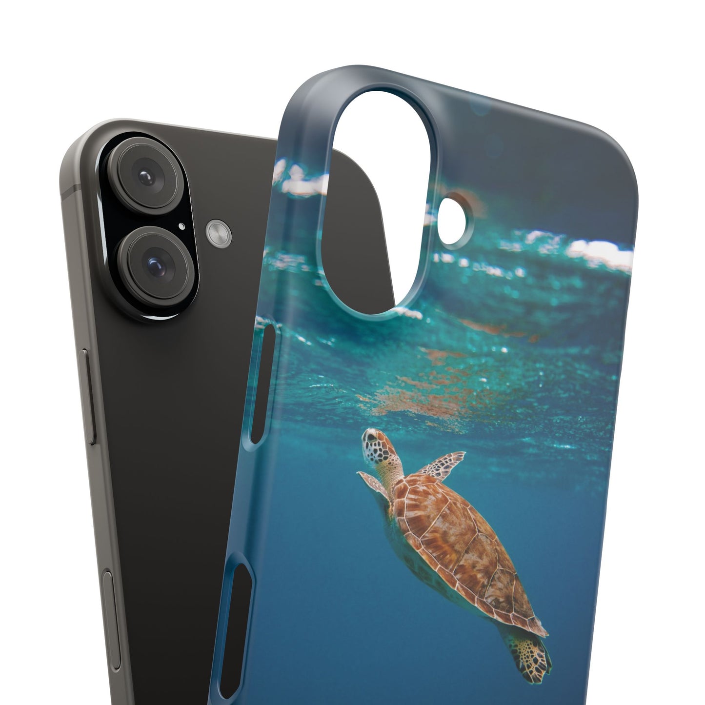 Sea Turtle Cajasol - Perfect for Beach Lovers