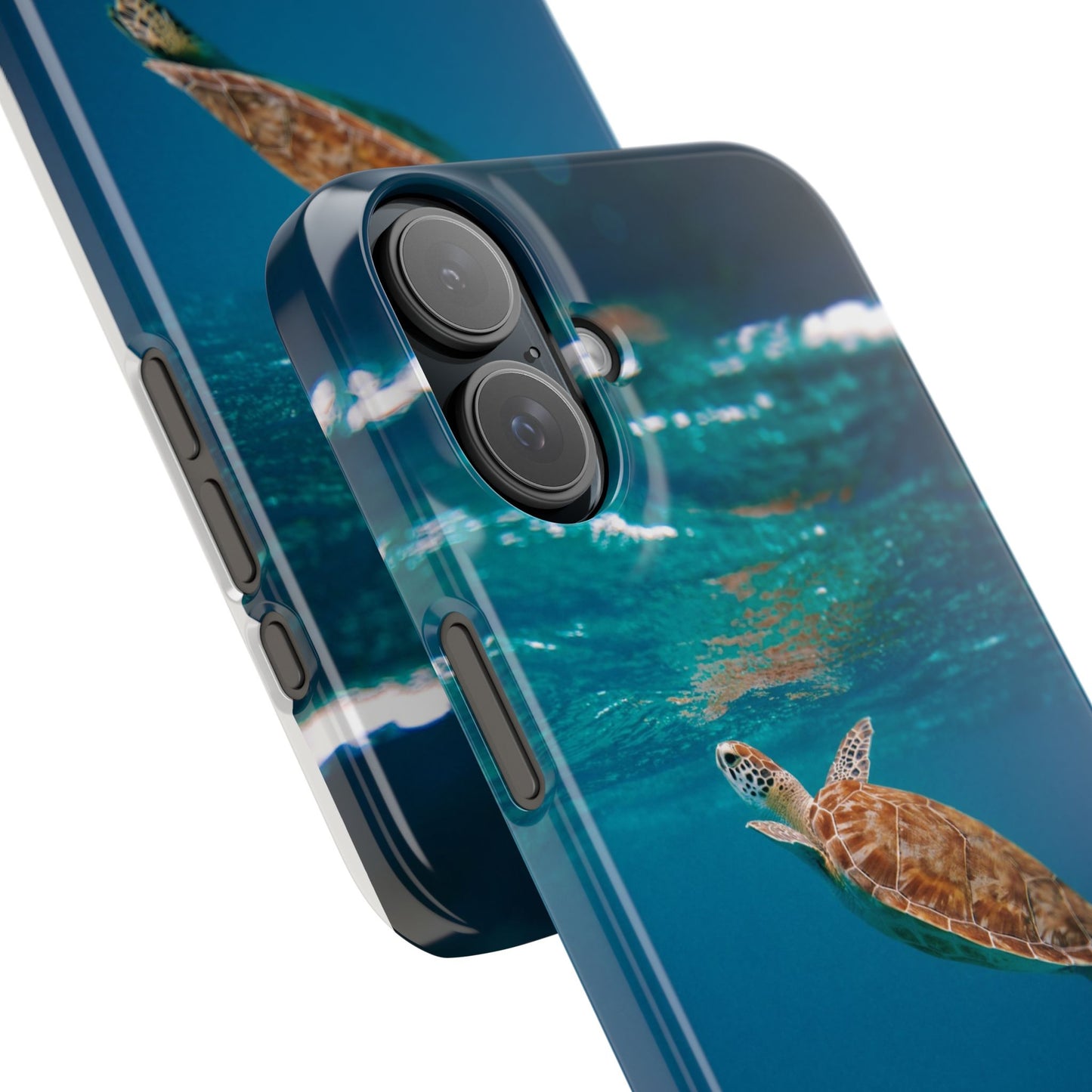 Sea Turtle Cajasol - Perfect for Beach Lovers