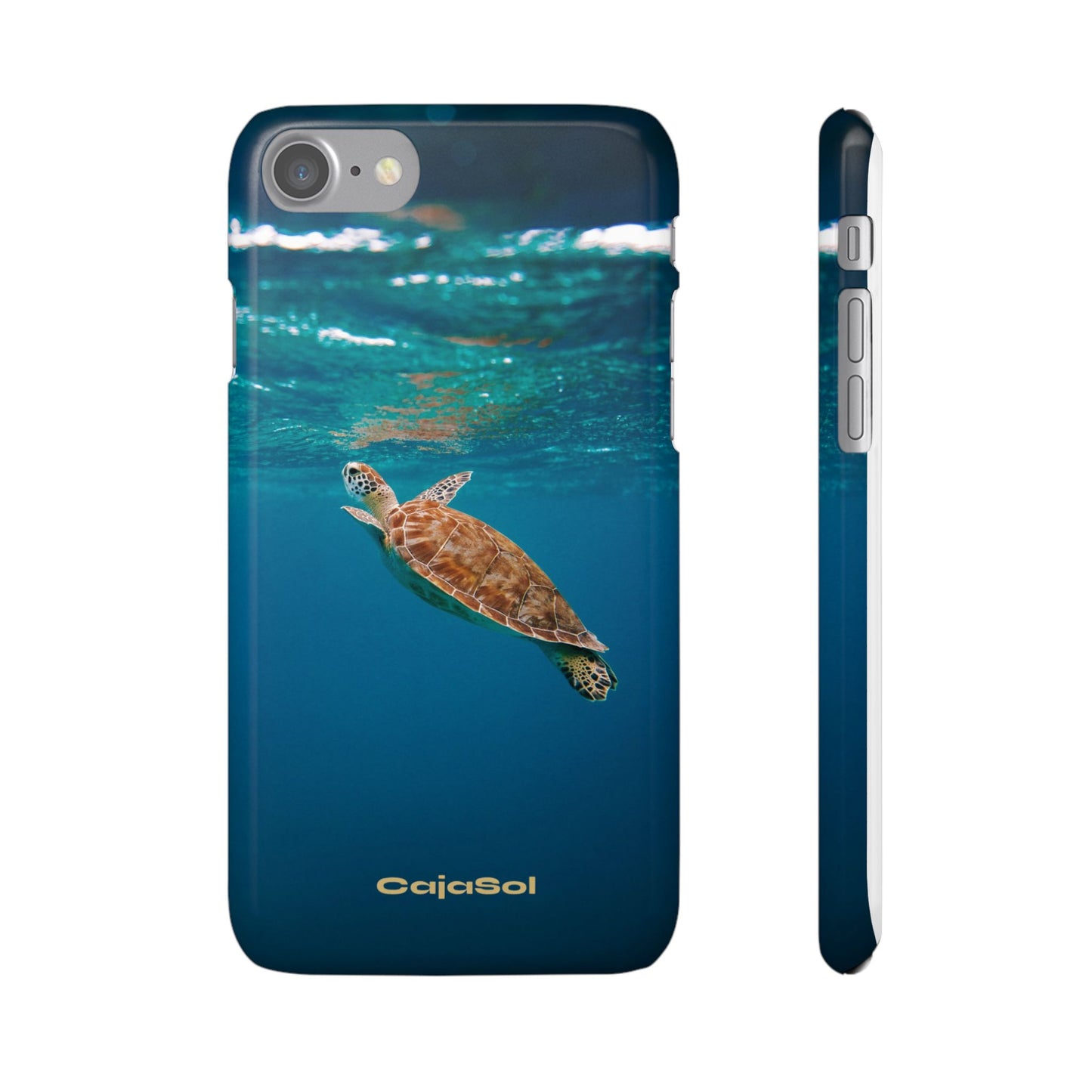 Sea Turtle Cajasol - Perfect for Beach Lovers