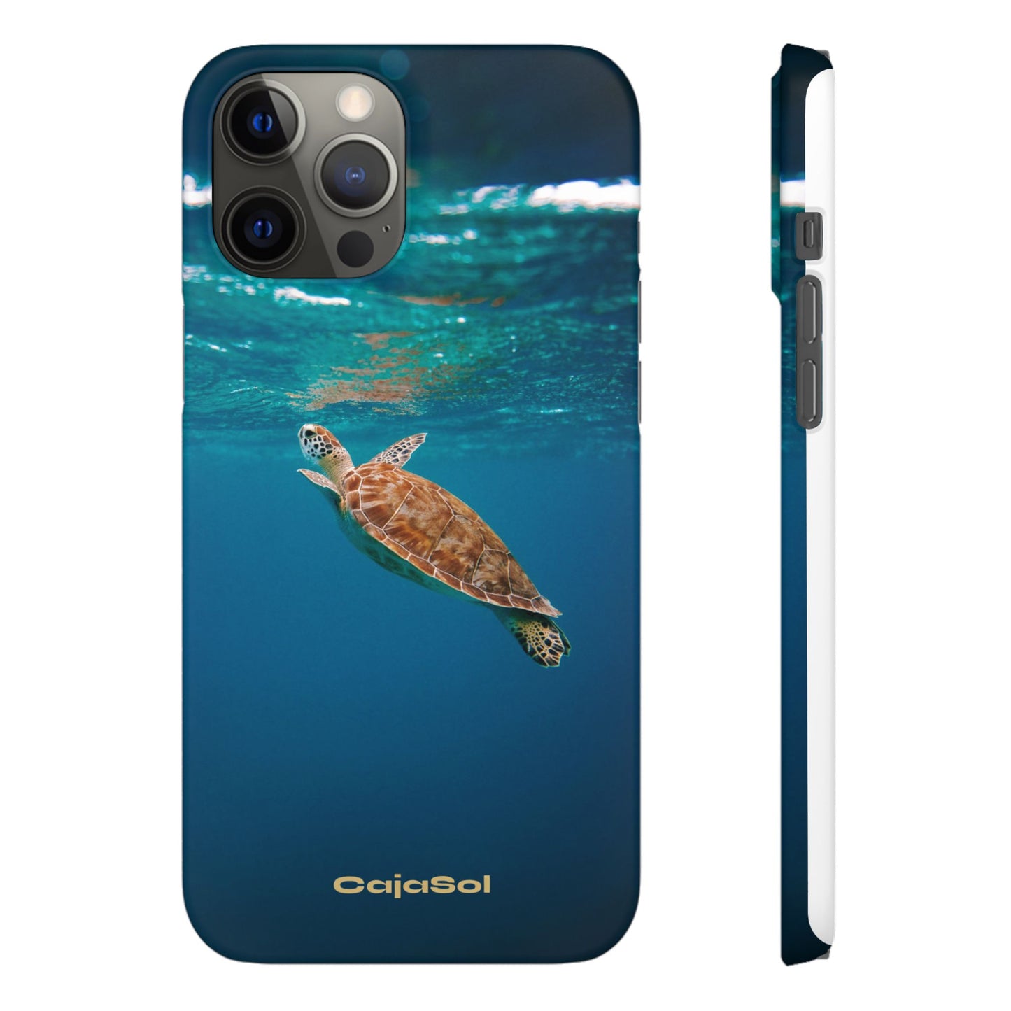 Sea Turtle Cajasol - Perfect for Beach Lovers