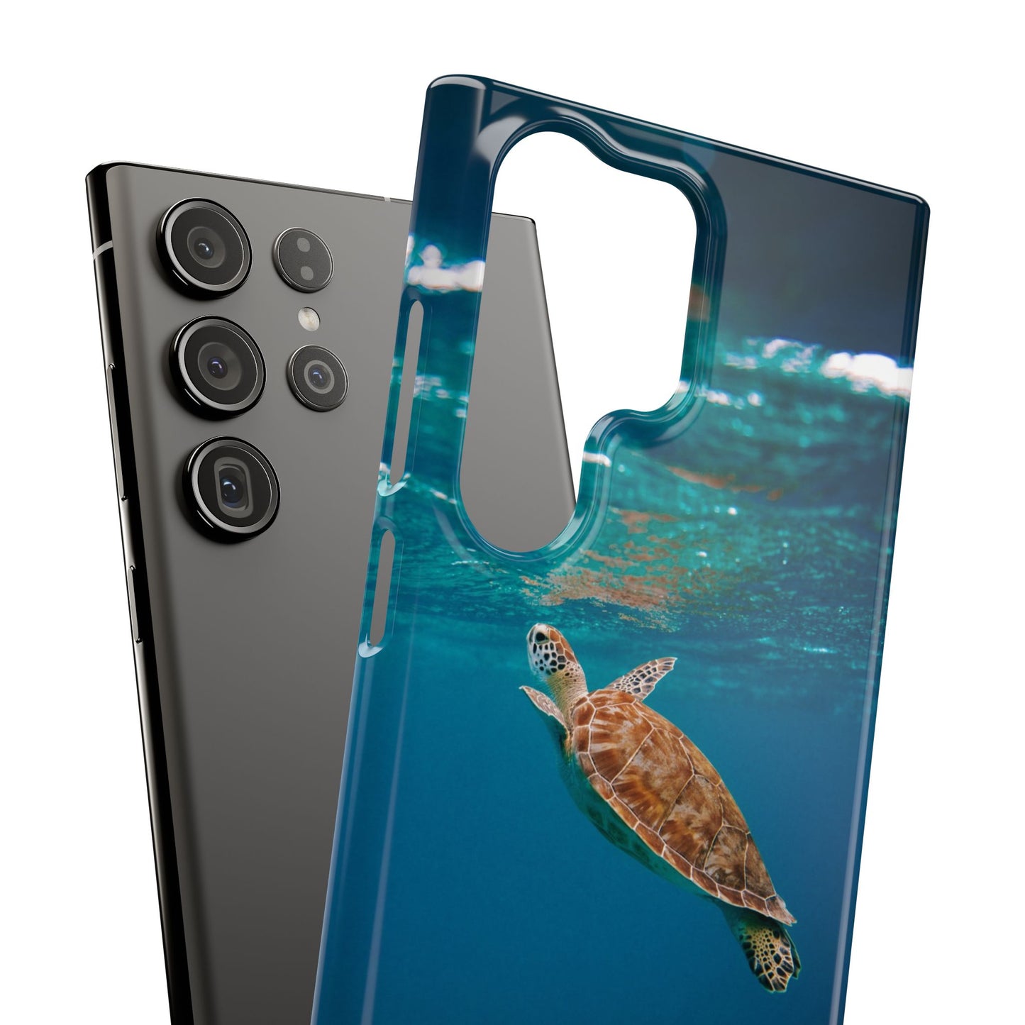 Sea Turtle Cajasol - Perfect for Beach Lovers