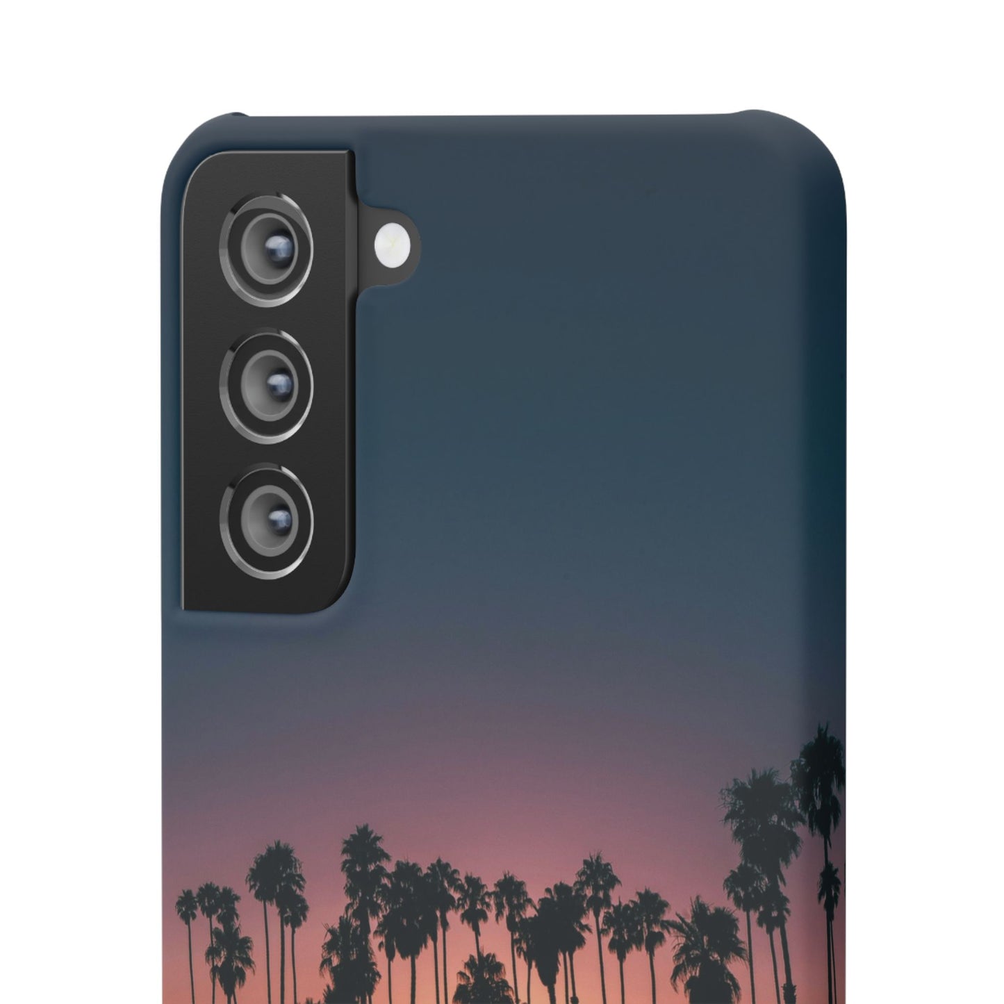 Tropical Sunset Cajasol - Vibrant Palm Tree