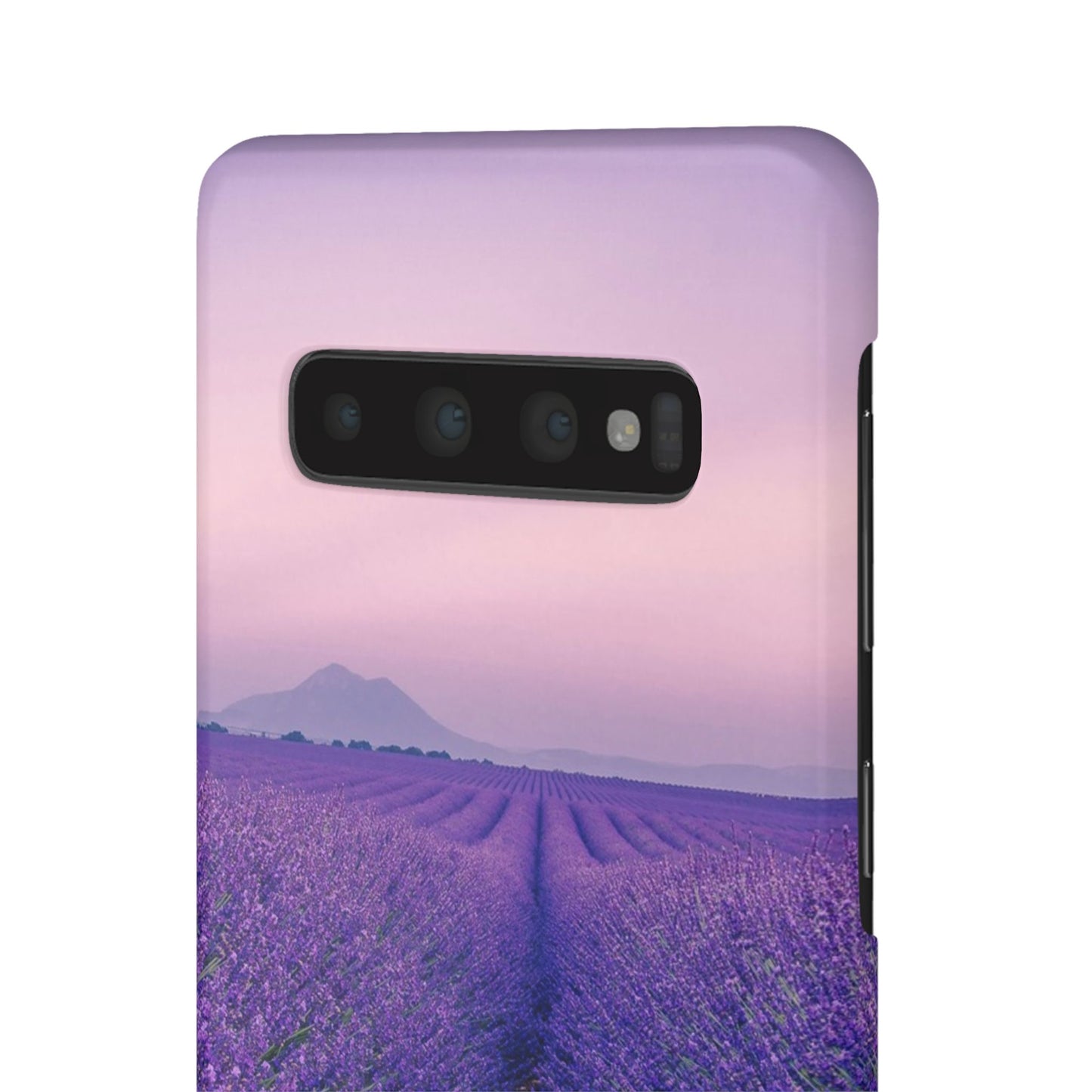 Lavender Fields Cajasol - A Floral Touch for Nature Lovers