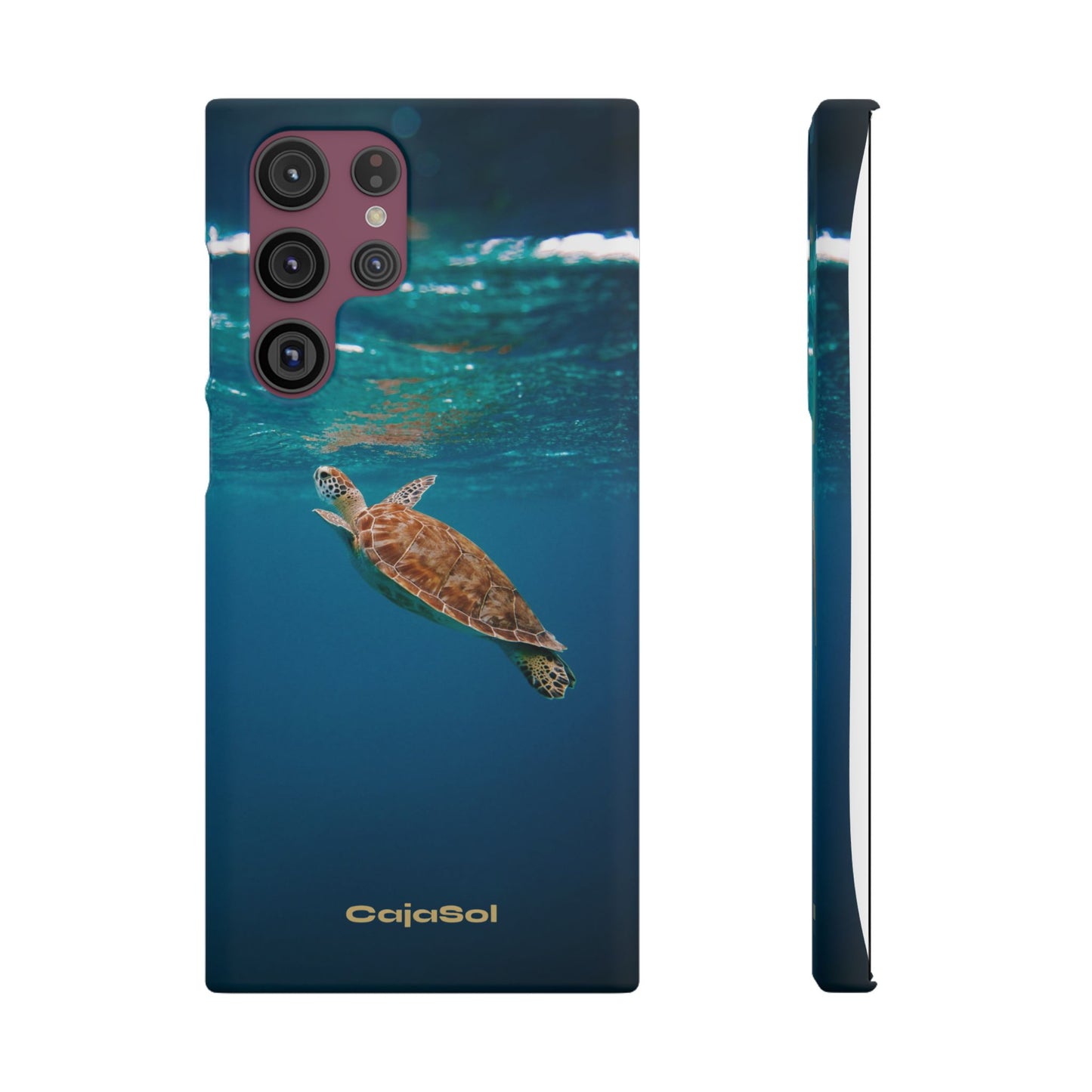 Sea Turtle Cajasol - Perfect for Beach Lovers