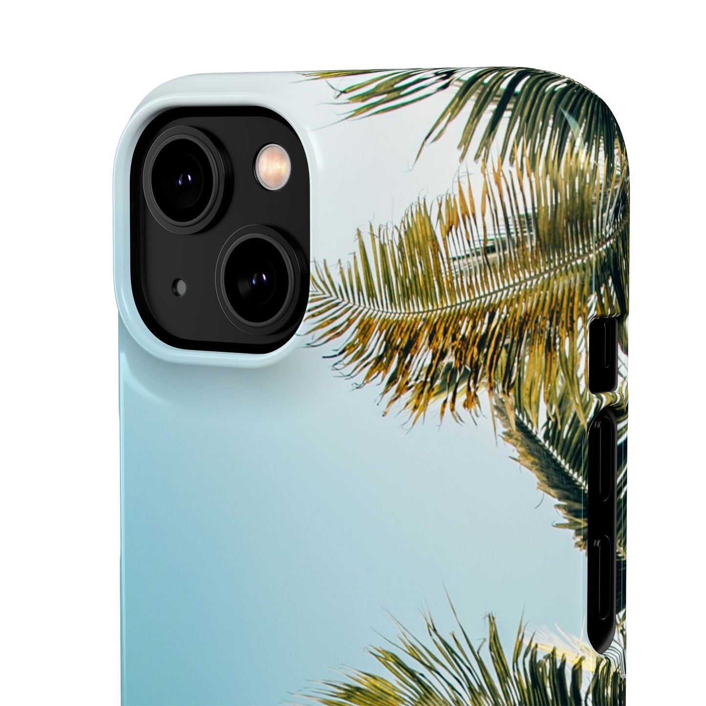 Tropical Palm Cajasol – Summer Vibes for Beach Lovers