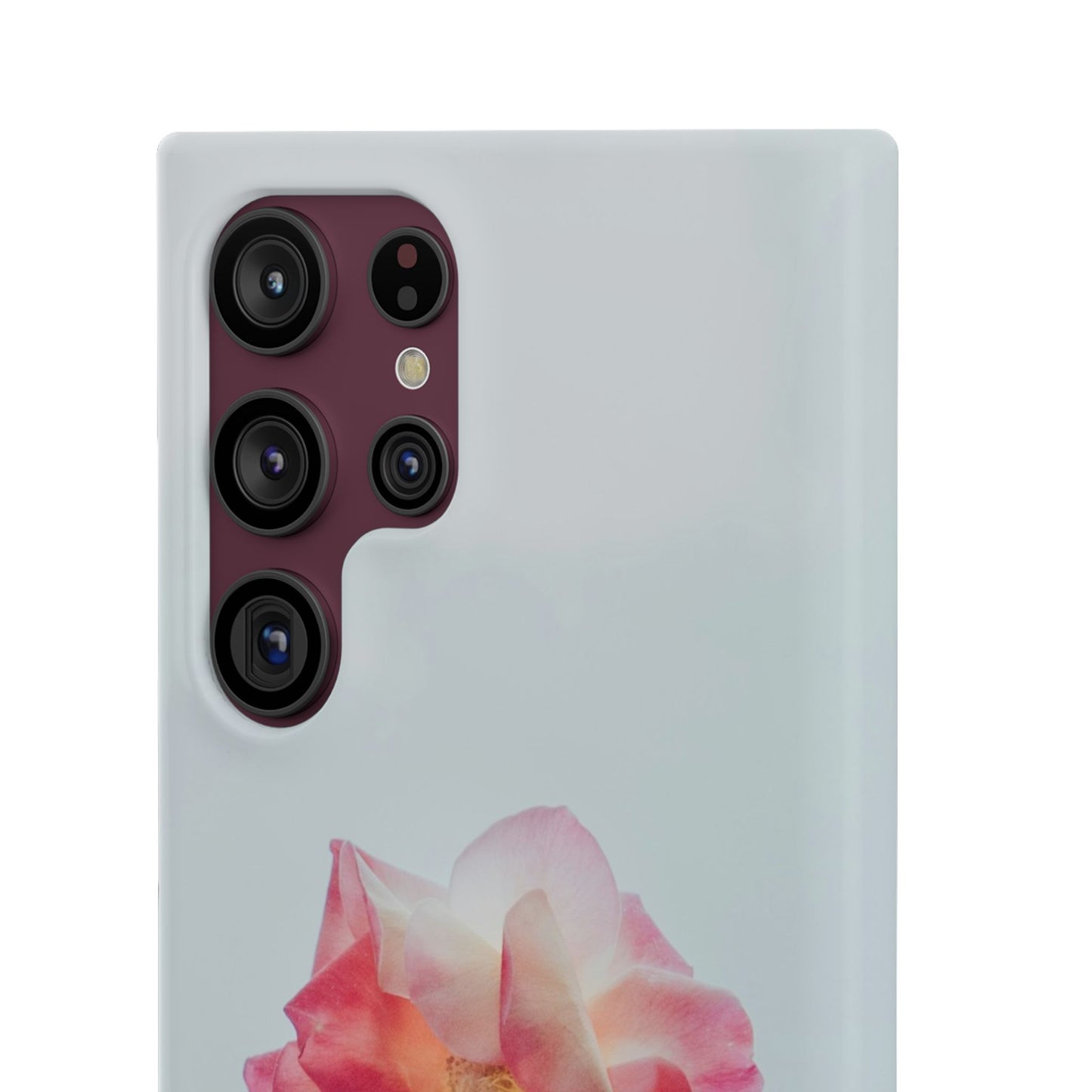Floral Cajasol - Elegant Pink Flower
