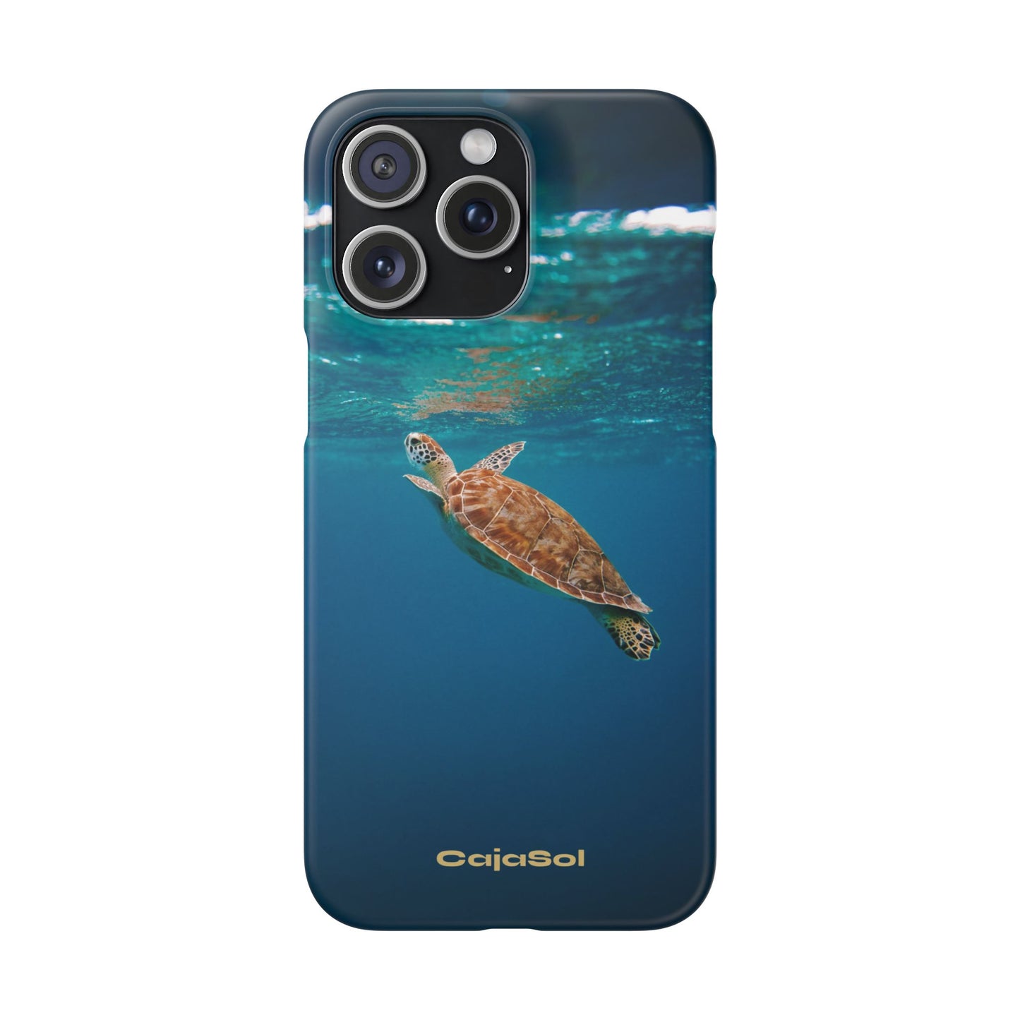 Sea Turtle Cajasol - Perfect for Beach Lovers