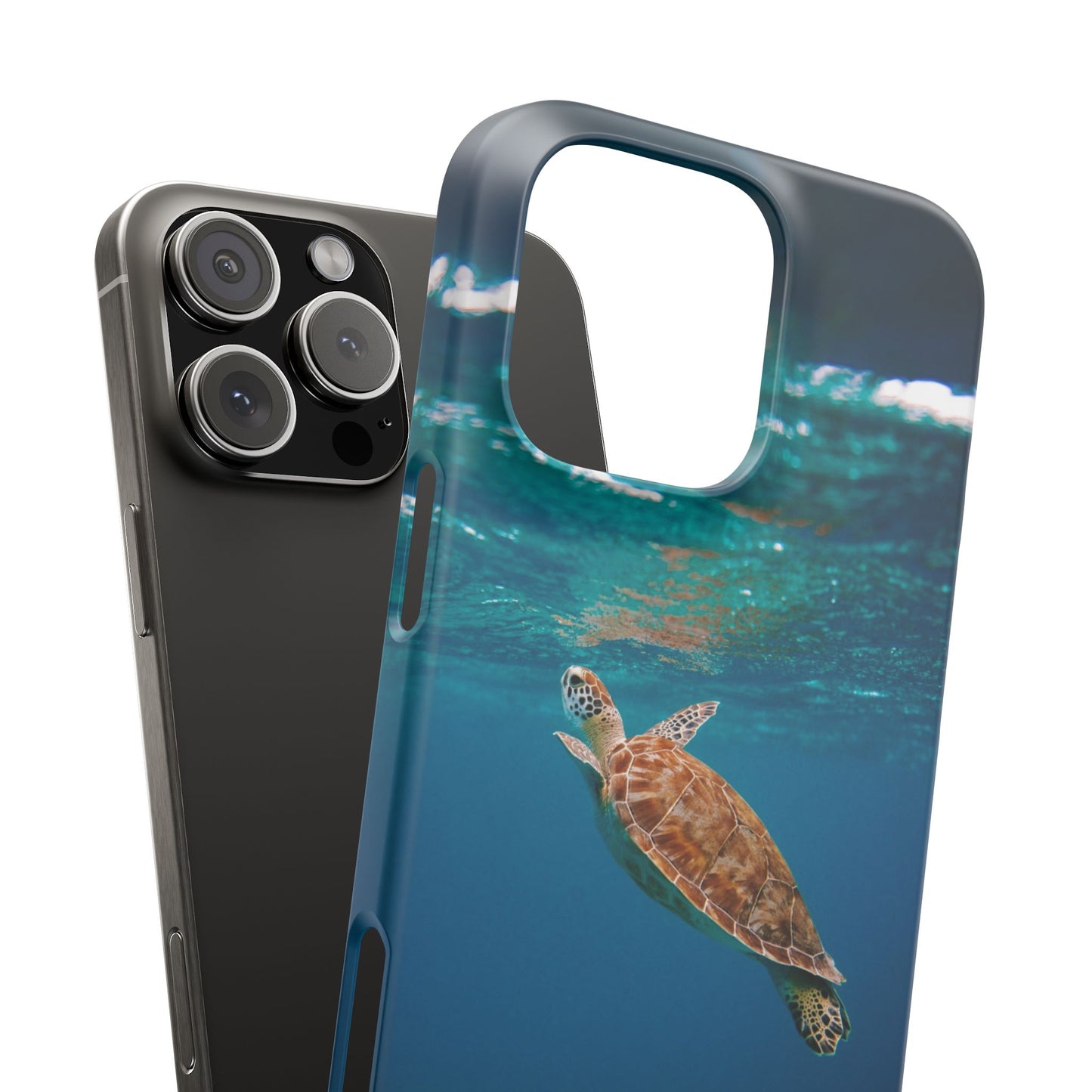 Sea Turtle Cajasol - Perfect for Beach Lovers