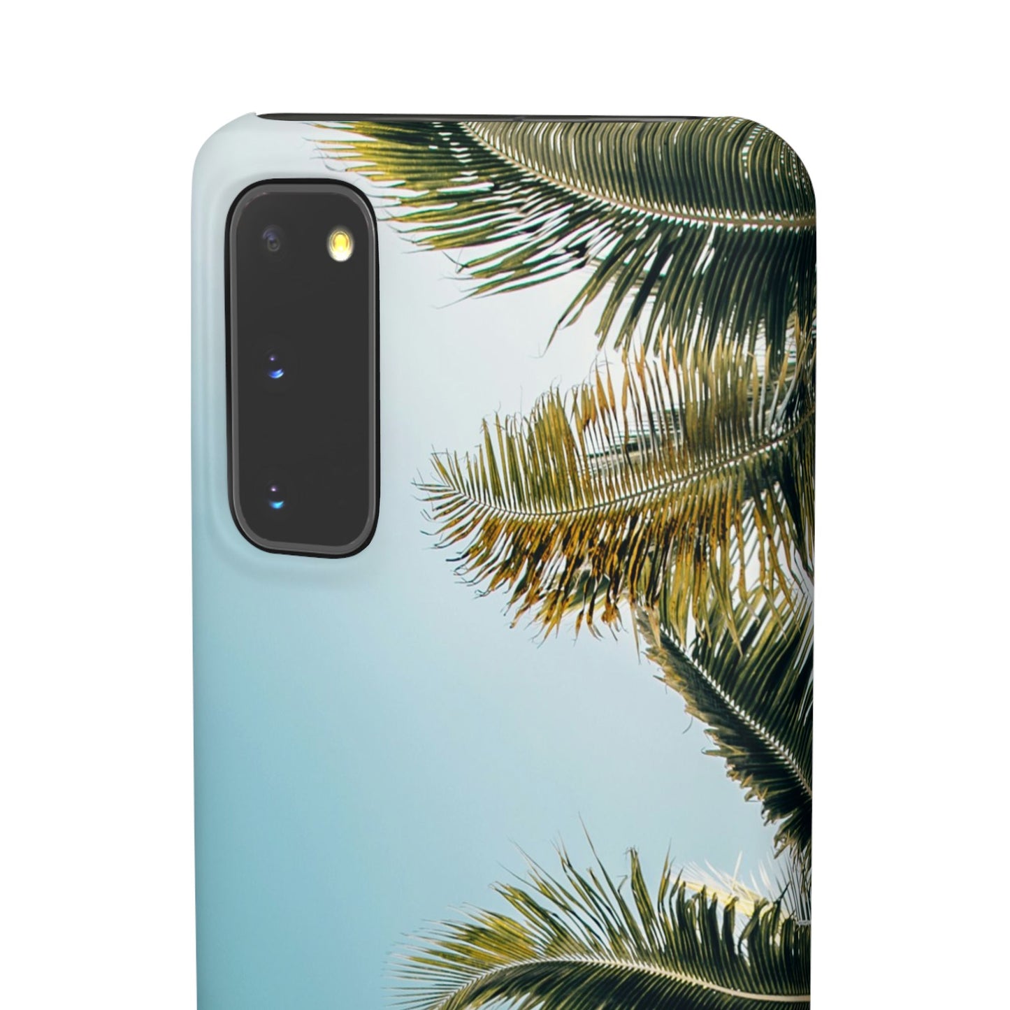 Tropical Palm Cajasol – Summer Vibes for Beach Lovers