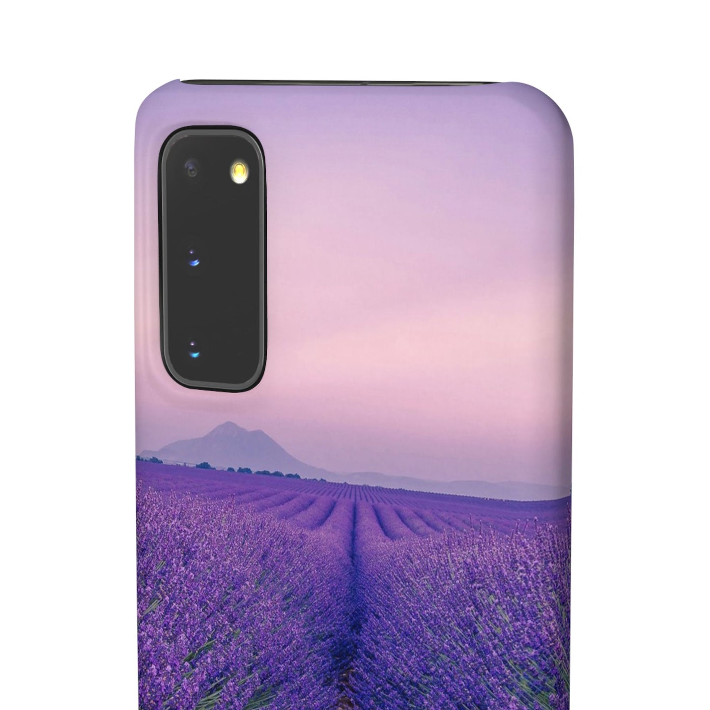 Lavender Fields Cajasol - A Floral Touch for Nature Lovers