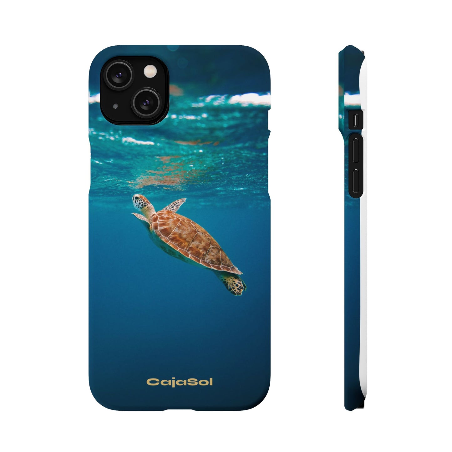 Sea Turtle Cajasol - Perfect for Beach Lovers