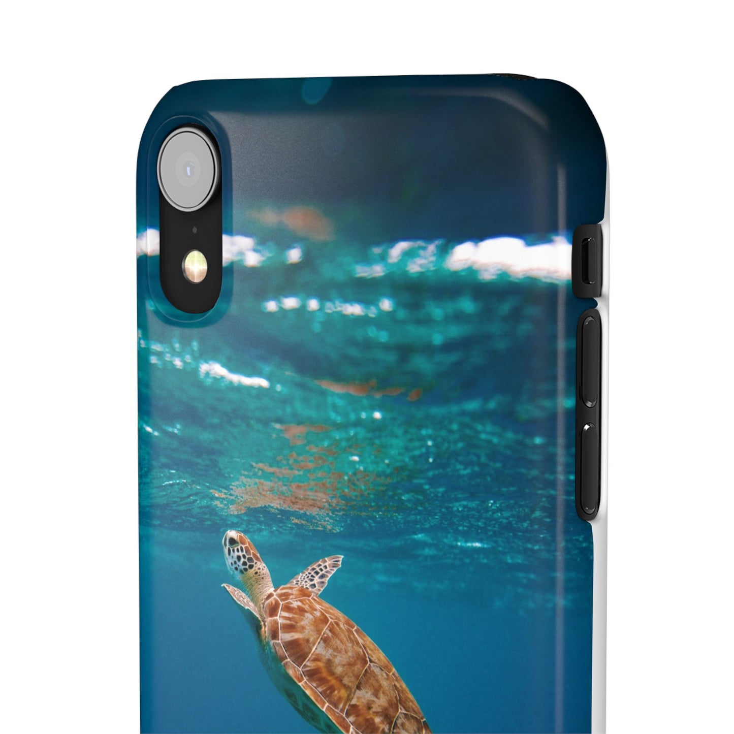 Sea Turtle Cajasol - Perfect for Beach Lovers