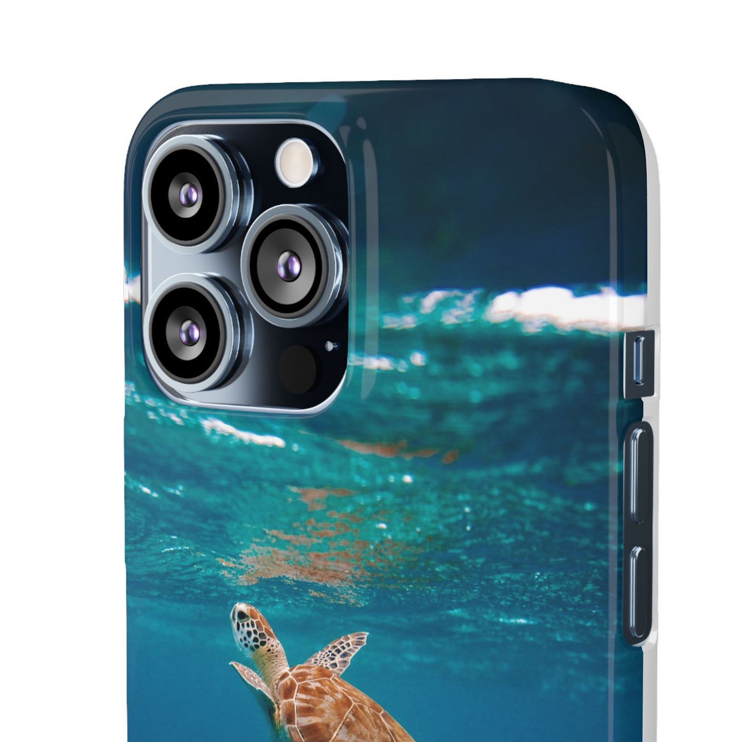 Sea Turtle Cajasol - Perfect for Beach Lovers