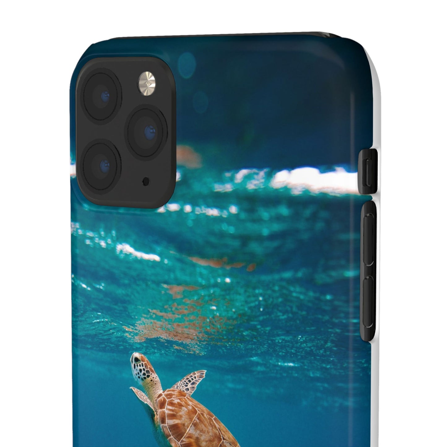 Sea Turtle Cajasol - Perfect for Beach Lovers