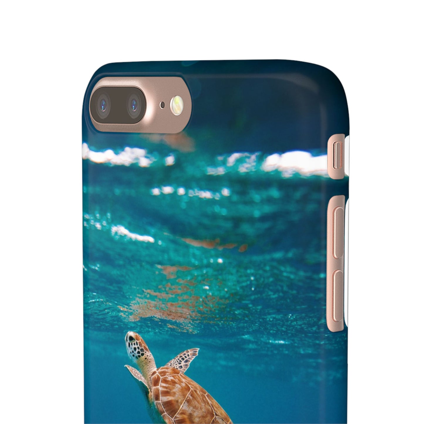 Sea Turtle Cajasol - Perfect for Beach Lovers