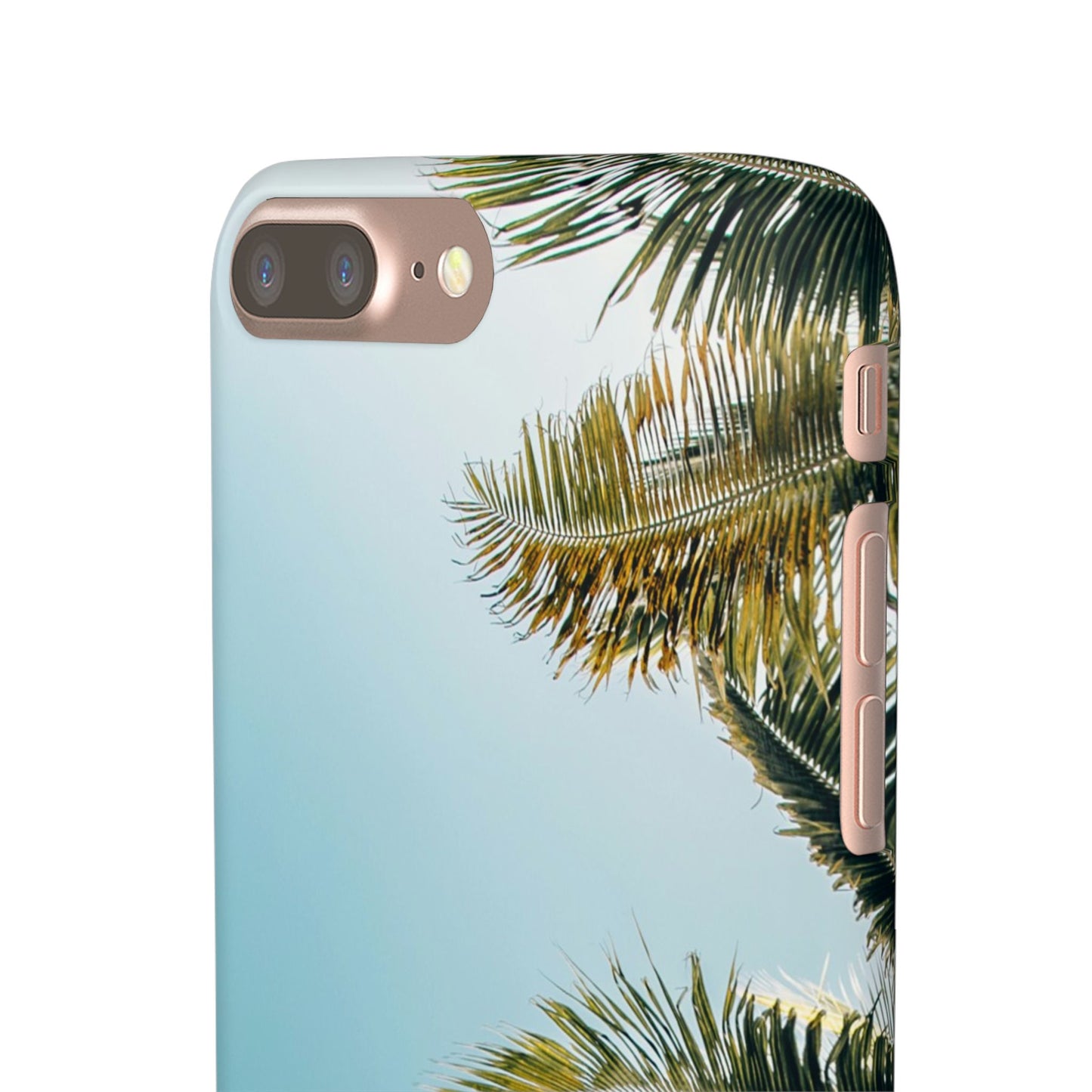 Tropical Palm Cajasol – Summer Vibes for Beach Lovers