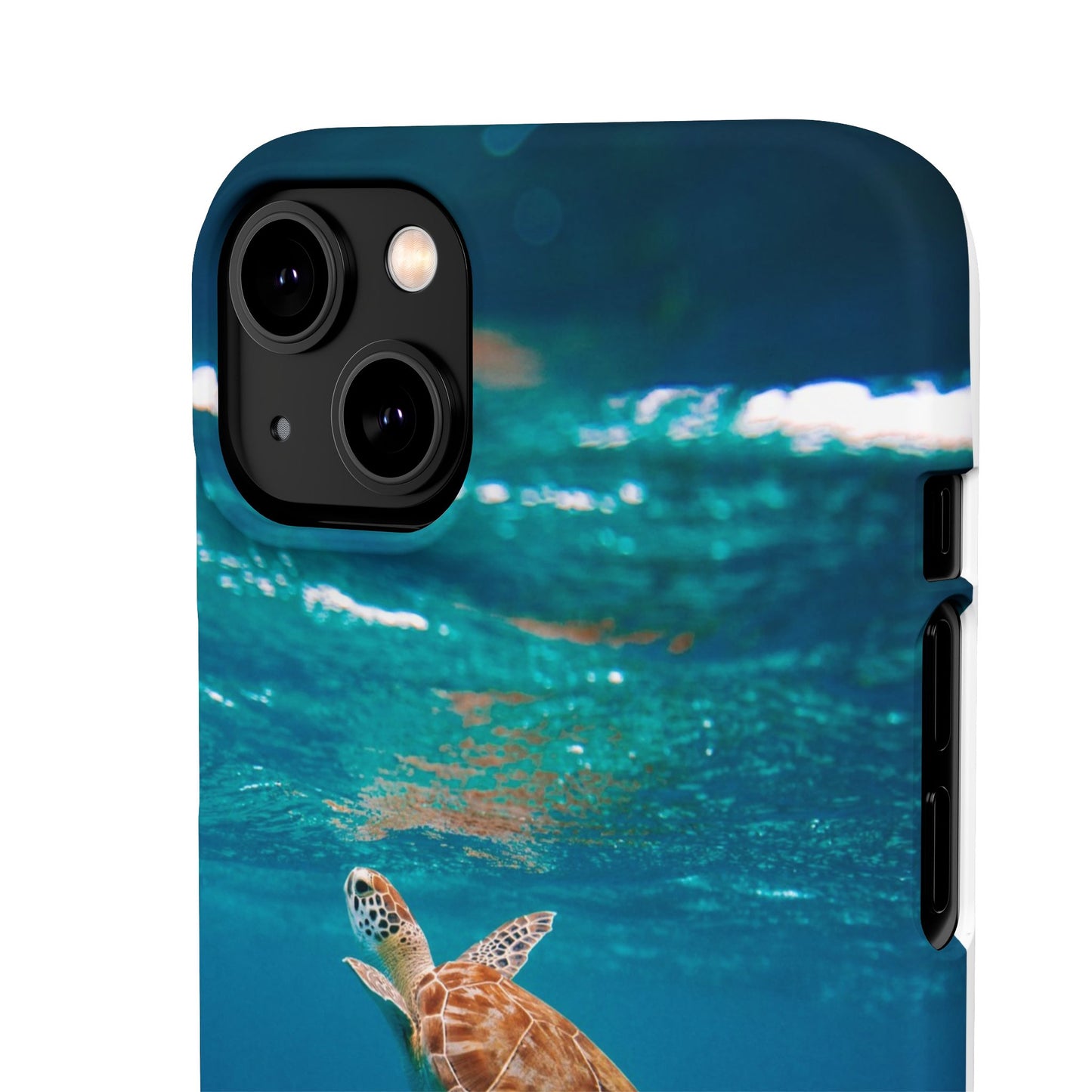 Sea Turtle Cajasol - Perfect for Beach Lovers