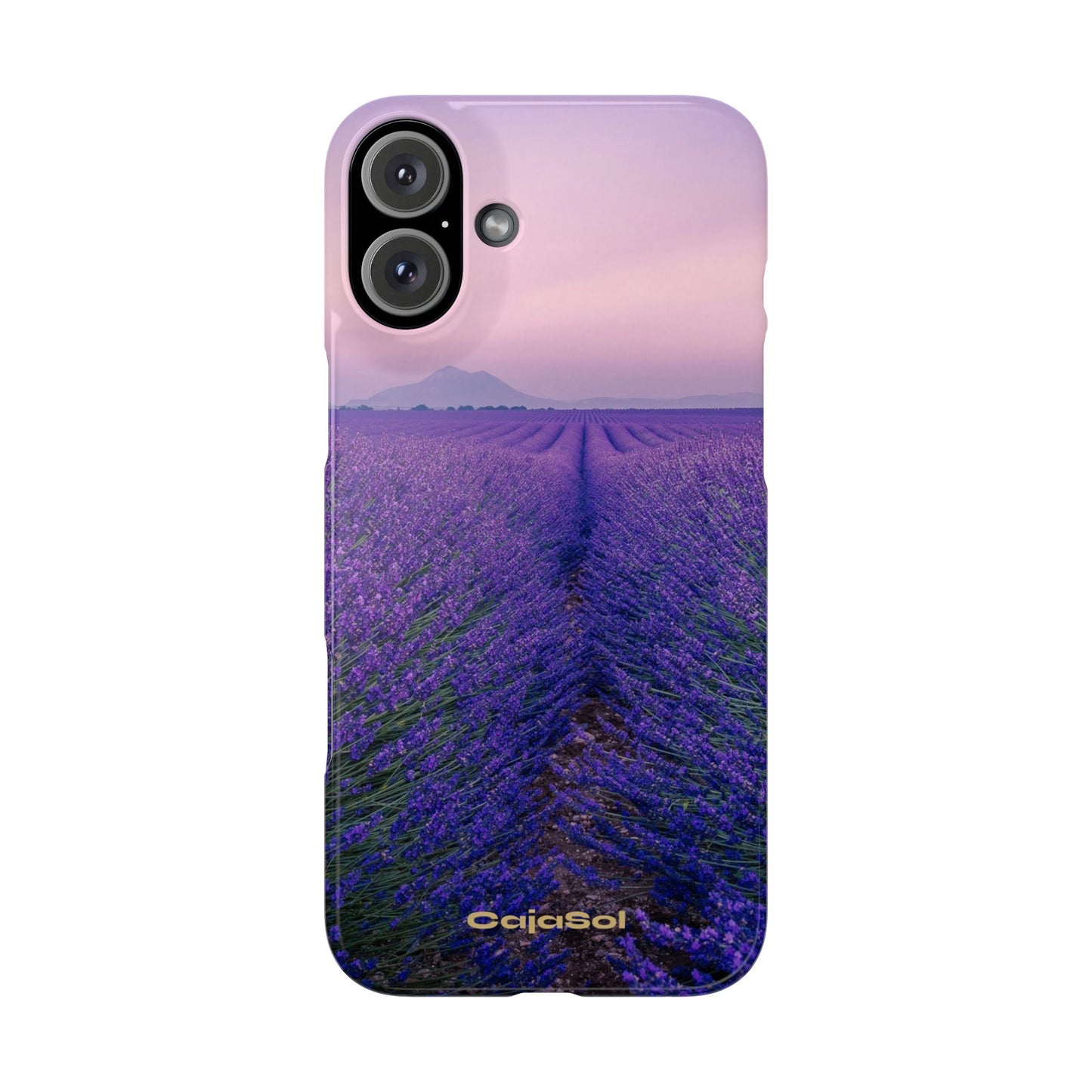 Lavender Fields Cajasol - A Floral Touch for Nature Lovers
