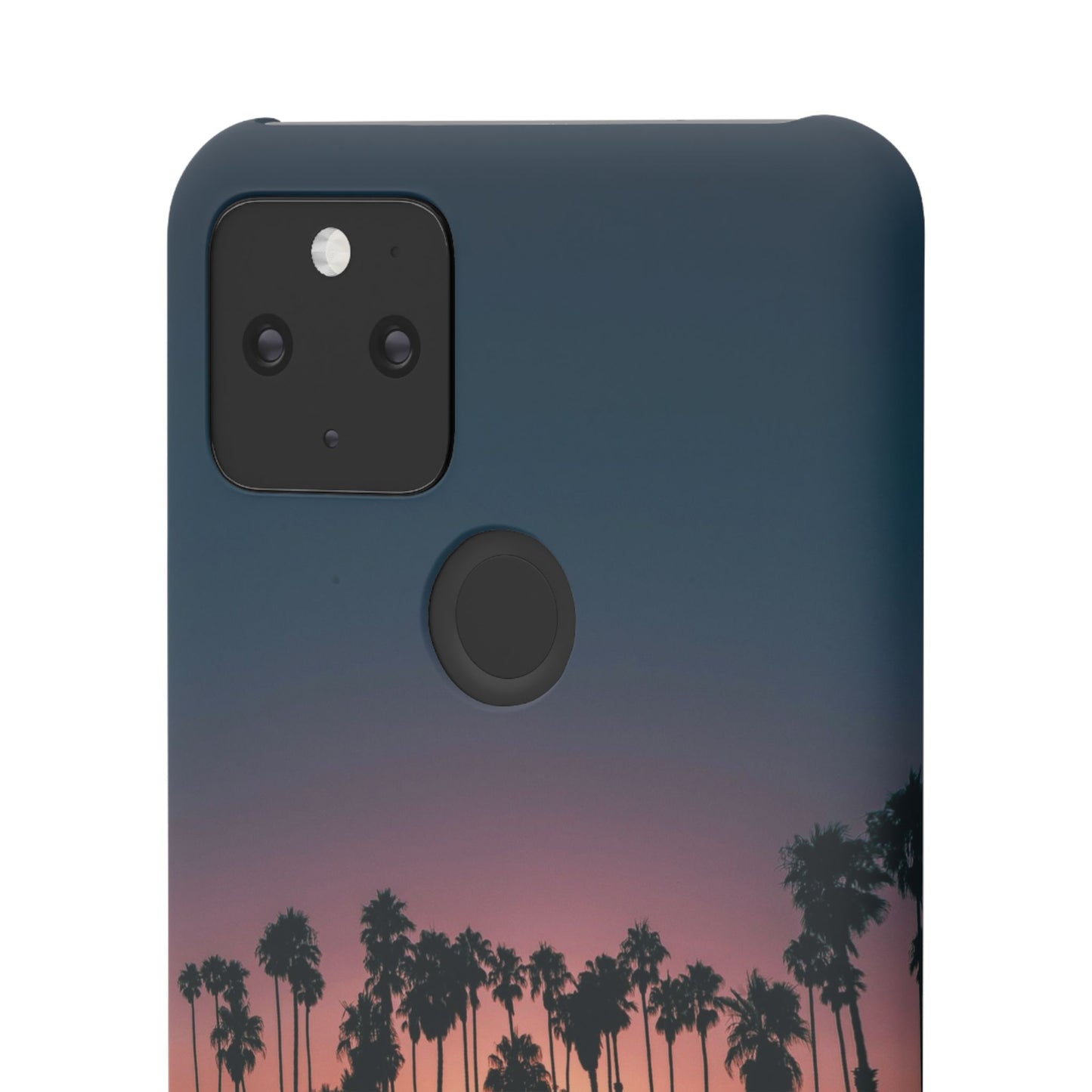 Tropical Sunset Cajasol - Vibrant Palm Tree