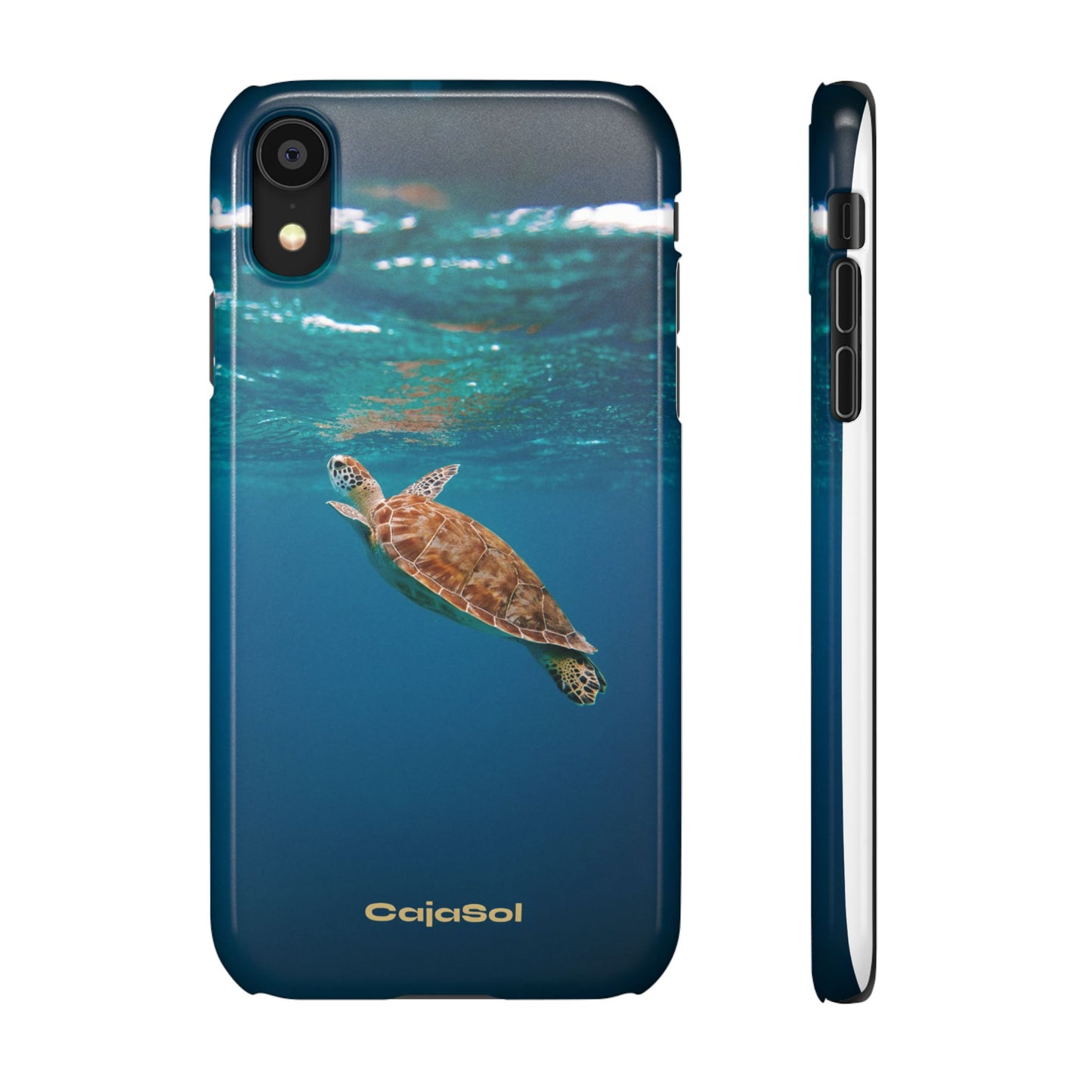 Sea Turtle Cajasol - Perfect for Beach Lovers