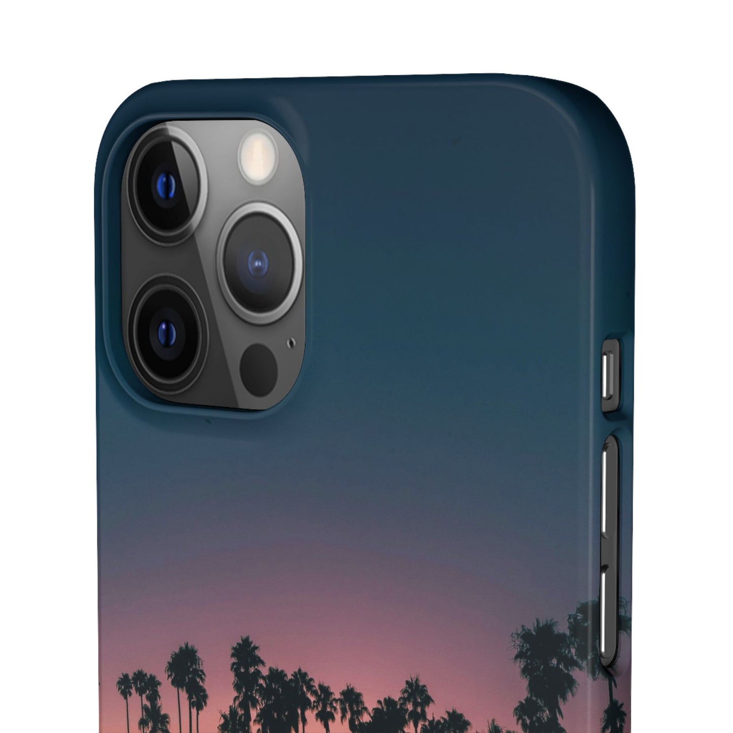 Tropical Sunset Cajasol - Vibrant Palm Tree