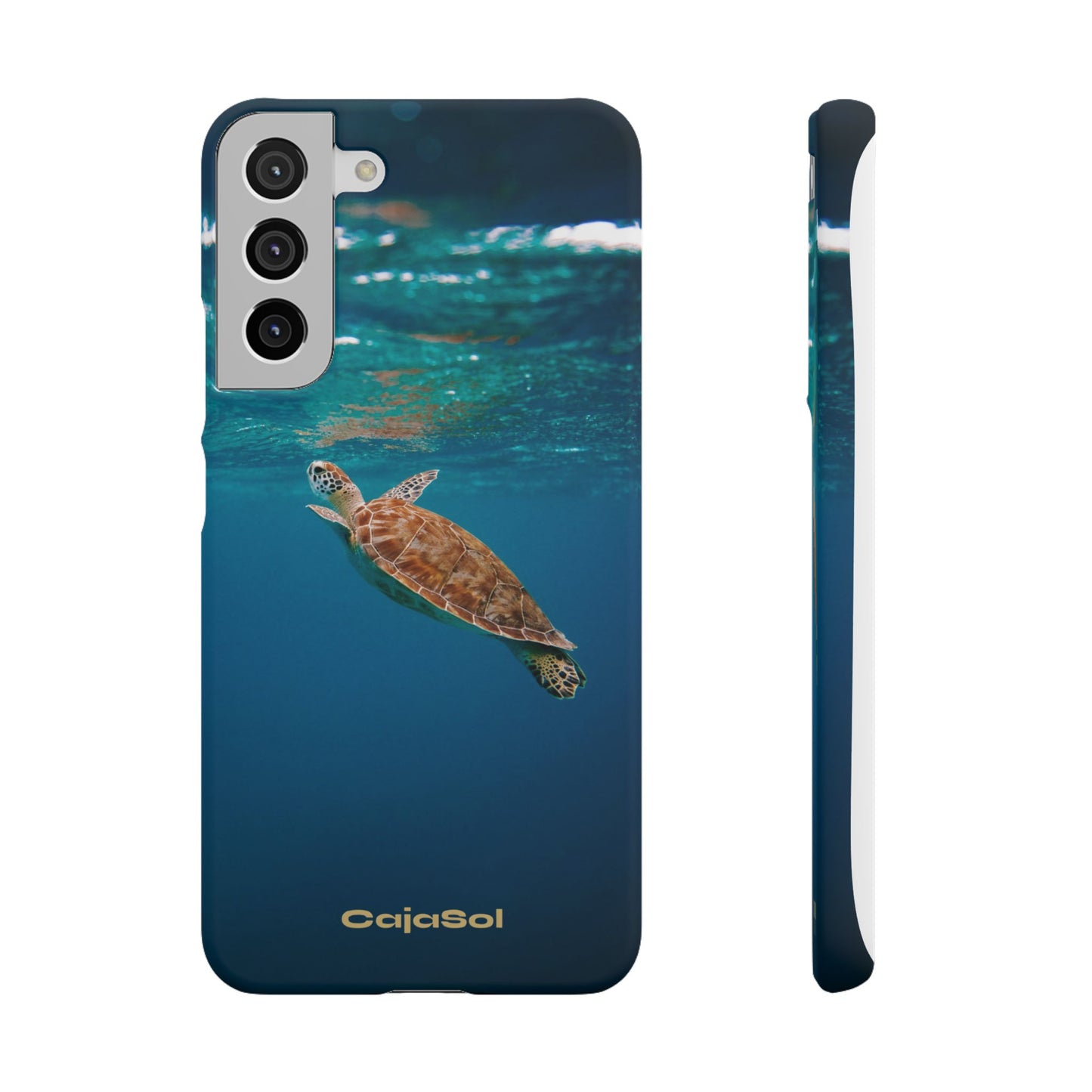 Sea Turtle Cajasol - Perfect for Beach Lovers