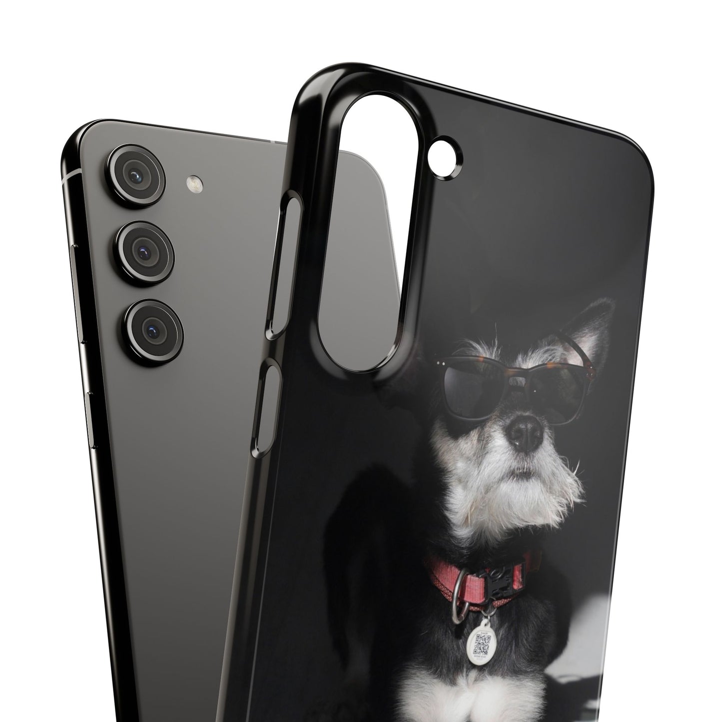 Cool Dog Cajasol - Stylish Pet