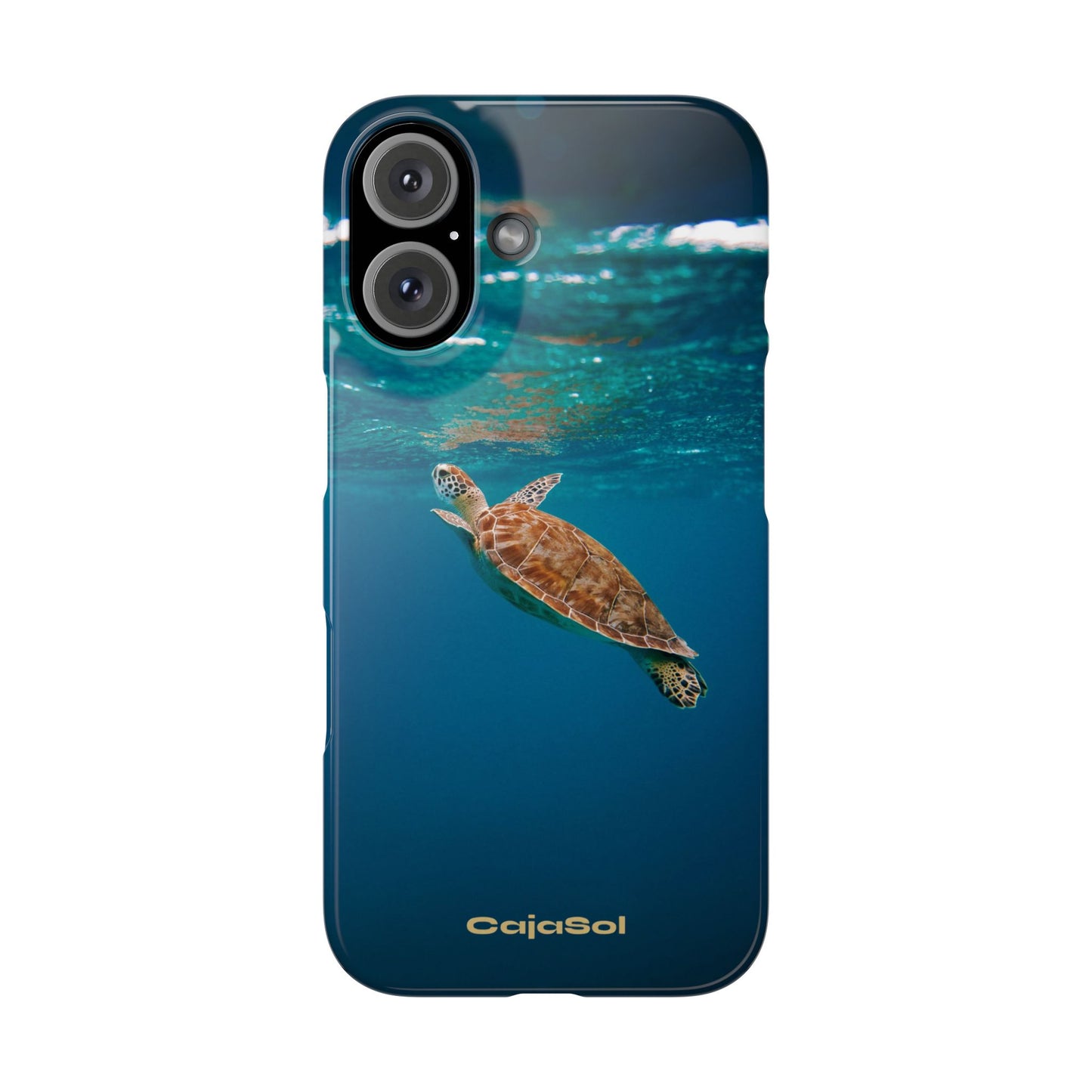 Sea Turtle Cajasol - Perfect for Beach Lovers