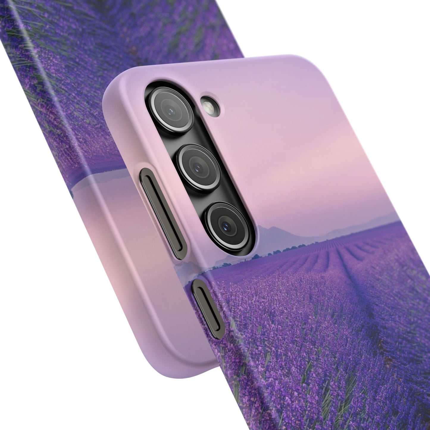 Lavender Fields Cajasol - A Floral Touch for Nature Lovers