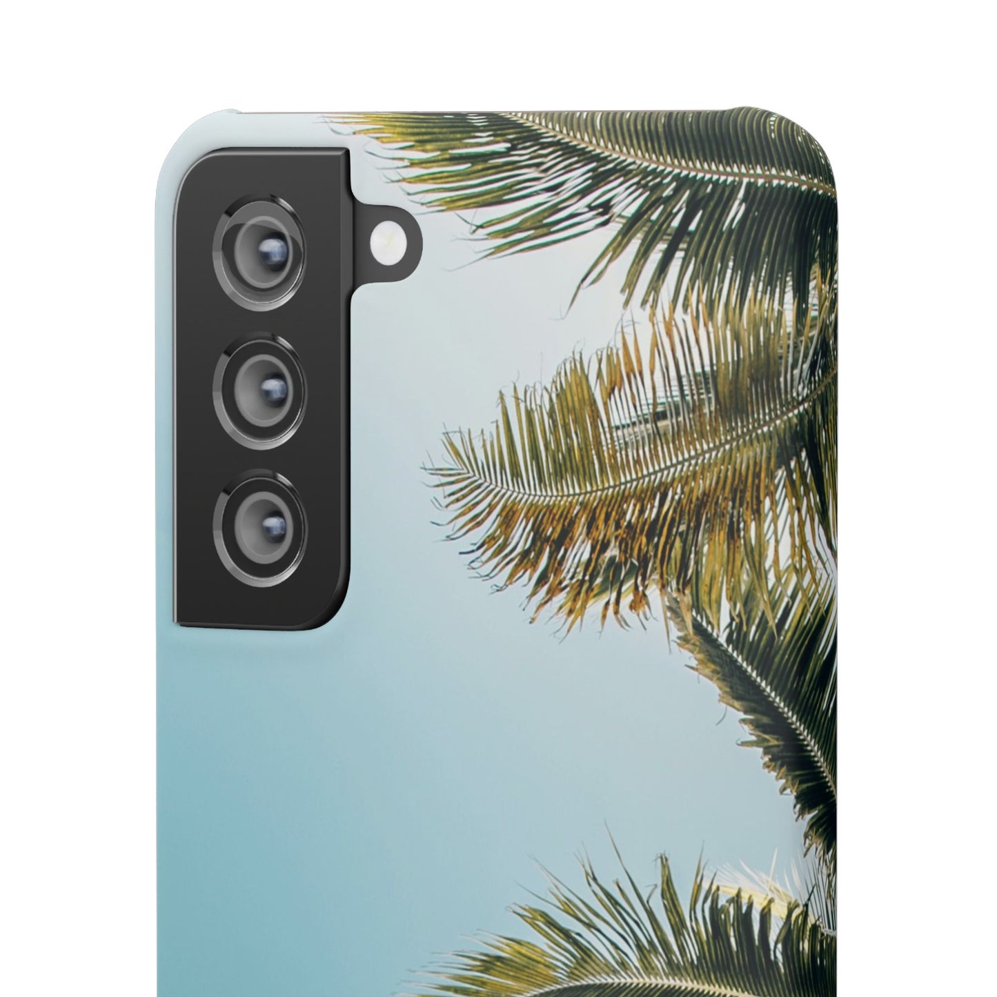 Tropical Palm Cajasol – Summer Vibes for Beach Lovers