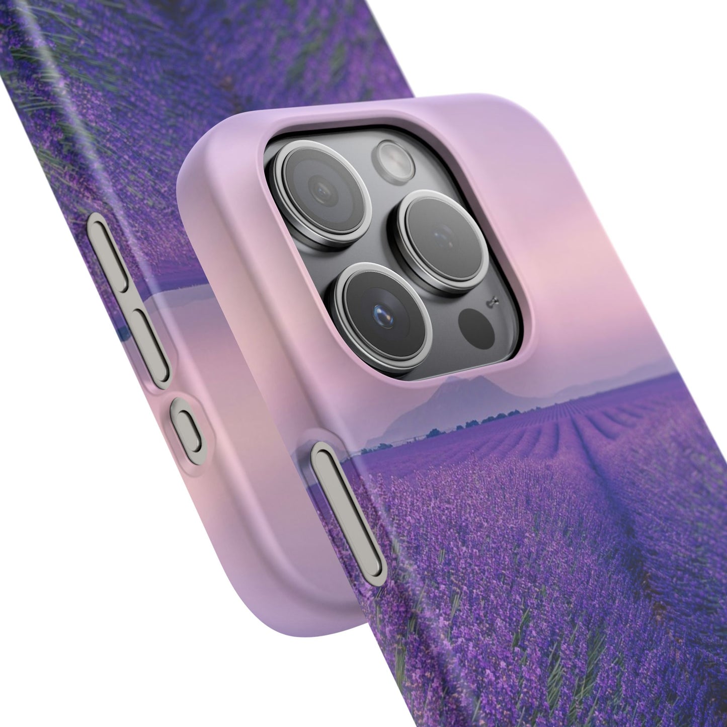 Lavender Fields Cajasol - A Floral Touch for Nature Lovers