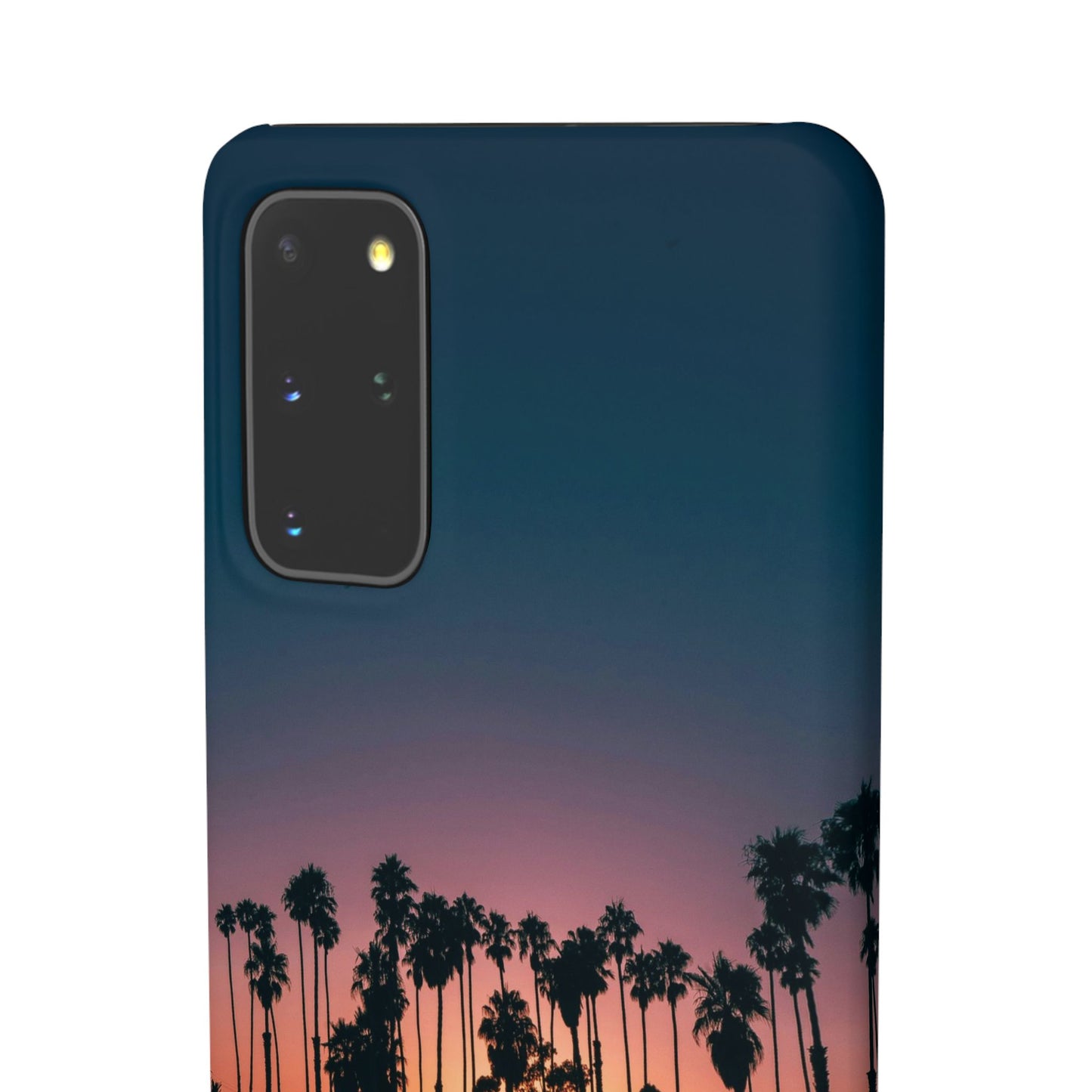 Tropical Sunset Cajasol - Vibrant Palm Tree