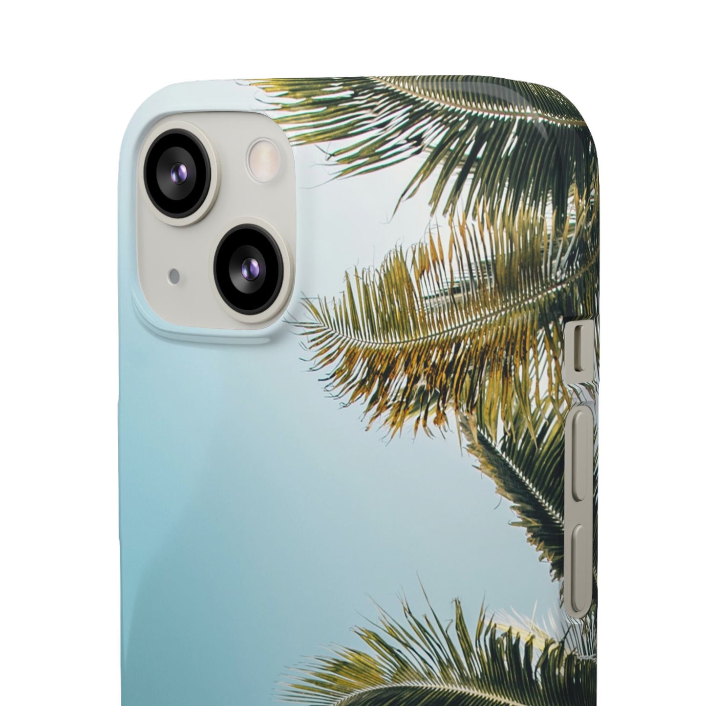 Tropical Palm Cajasol – Summer Vibes for Beach Lovers