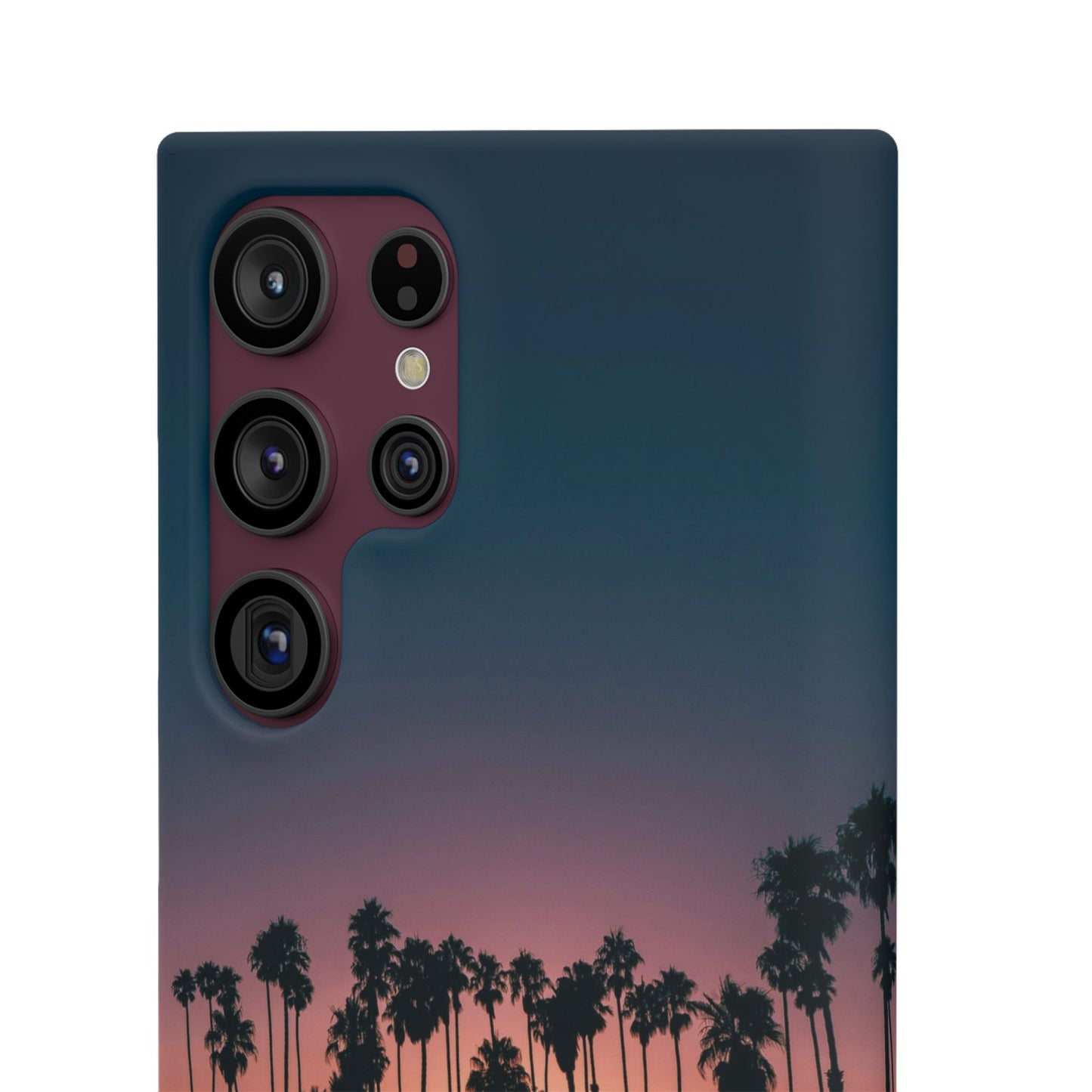 Tropical Sunset Cajasol - Vibrant Palm Tree