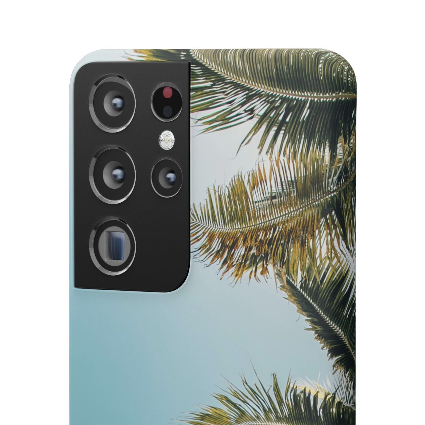 Tropical Palm Cajasol – Summer Vibes for Beach Lovers