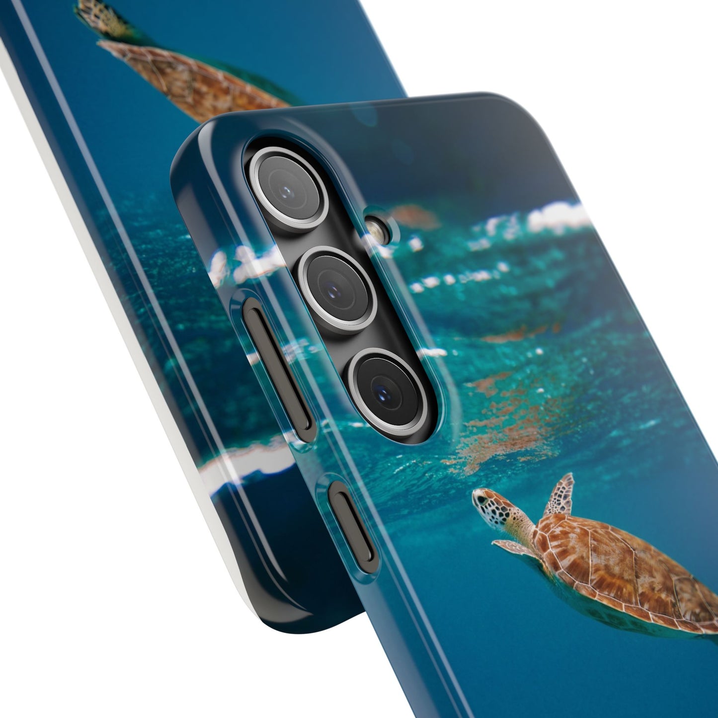 Sea Turtle Cajasol - Perfect for Beach Lovers