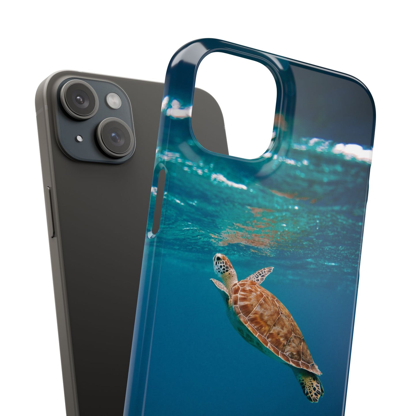 Sea Turtle Cajasol - Perfect for Beach Lovers